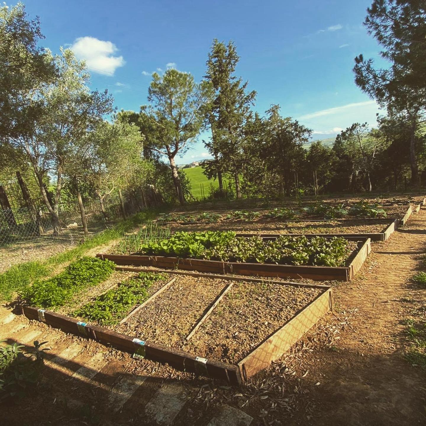 Agriturismo Pometti - Fattoria La Selva
