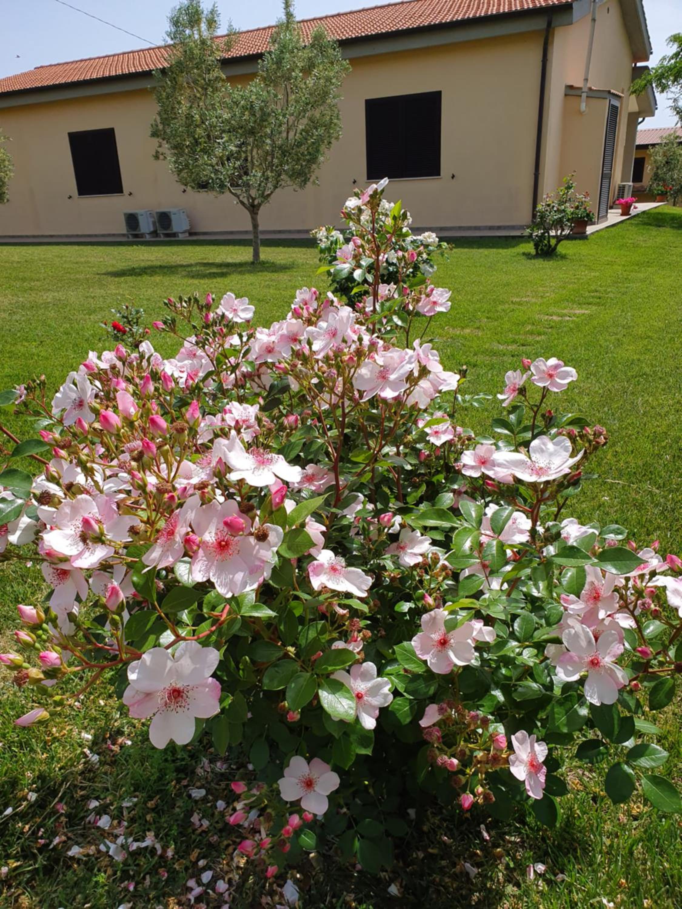 Agriturismo Severini