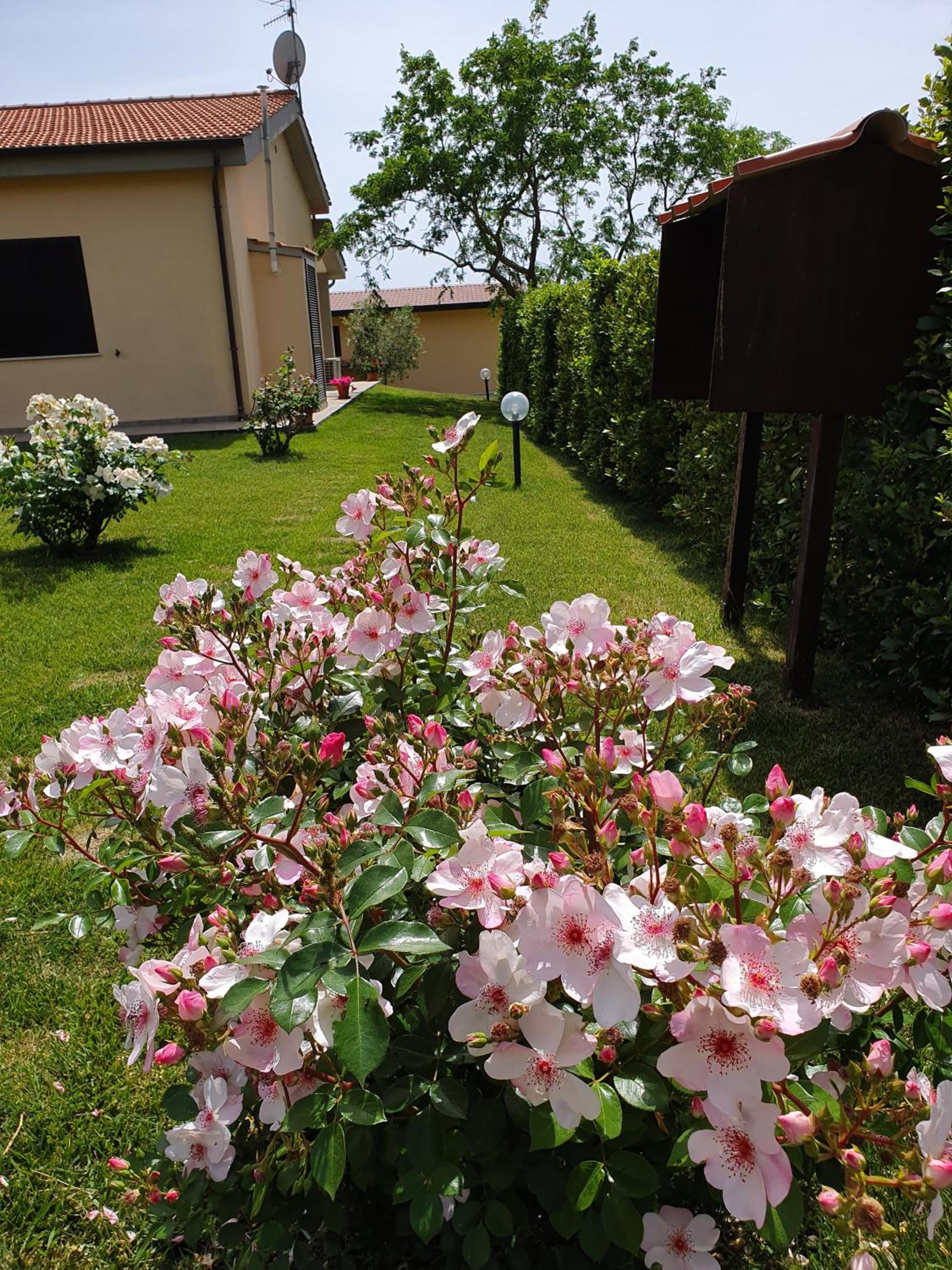 Agriturismo Severini