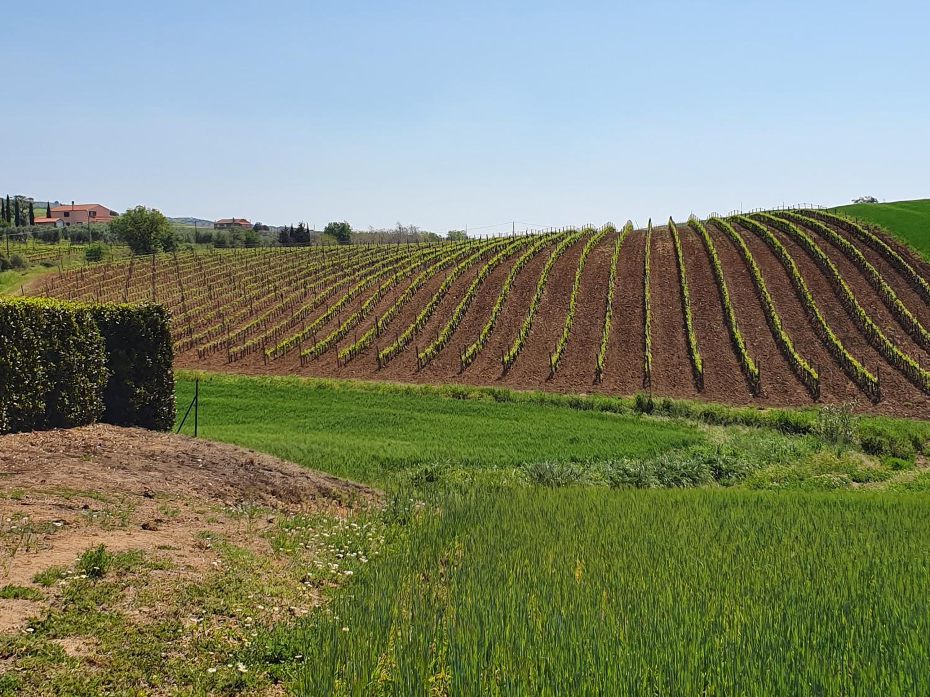 Agriturismo Severini