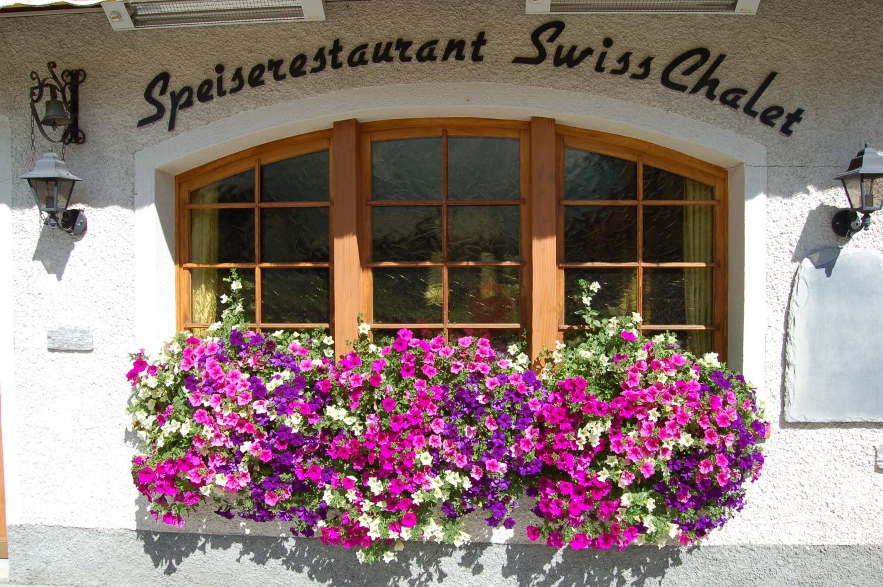 Apartment Swiss Chalet