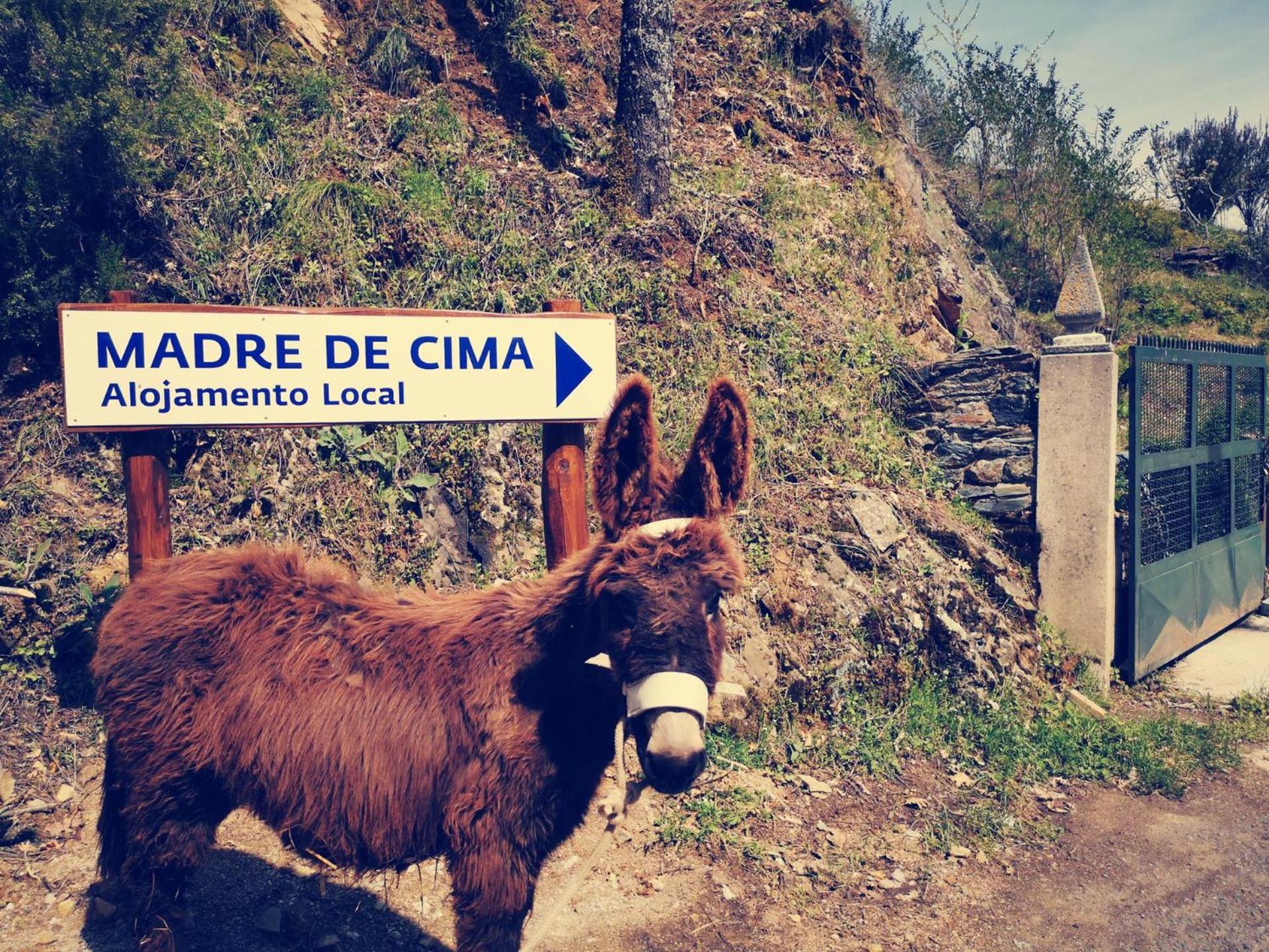 Alojamento Local Madre de Cima view 4