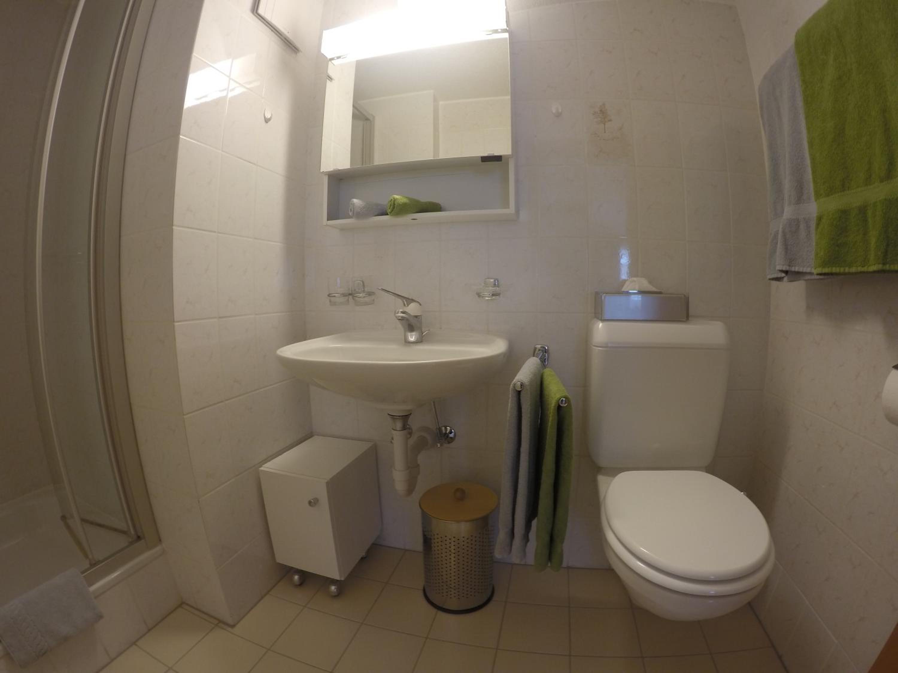 Apartment Swiss Chalet