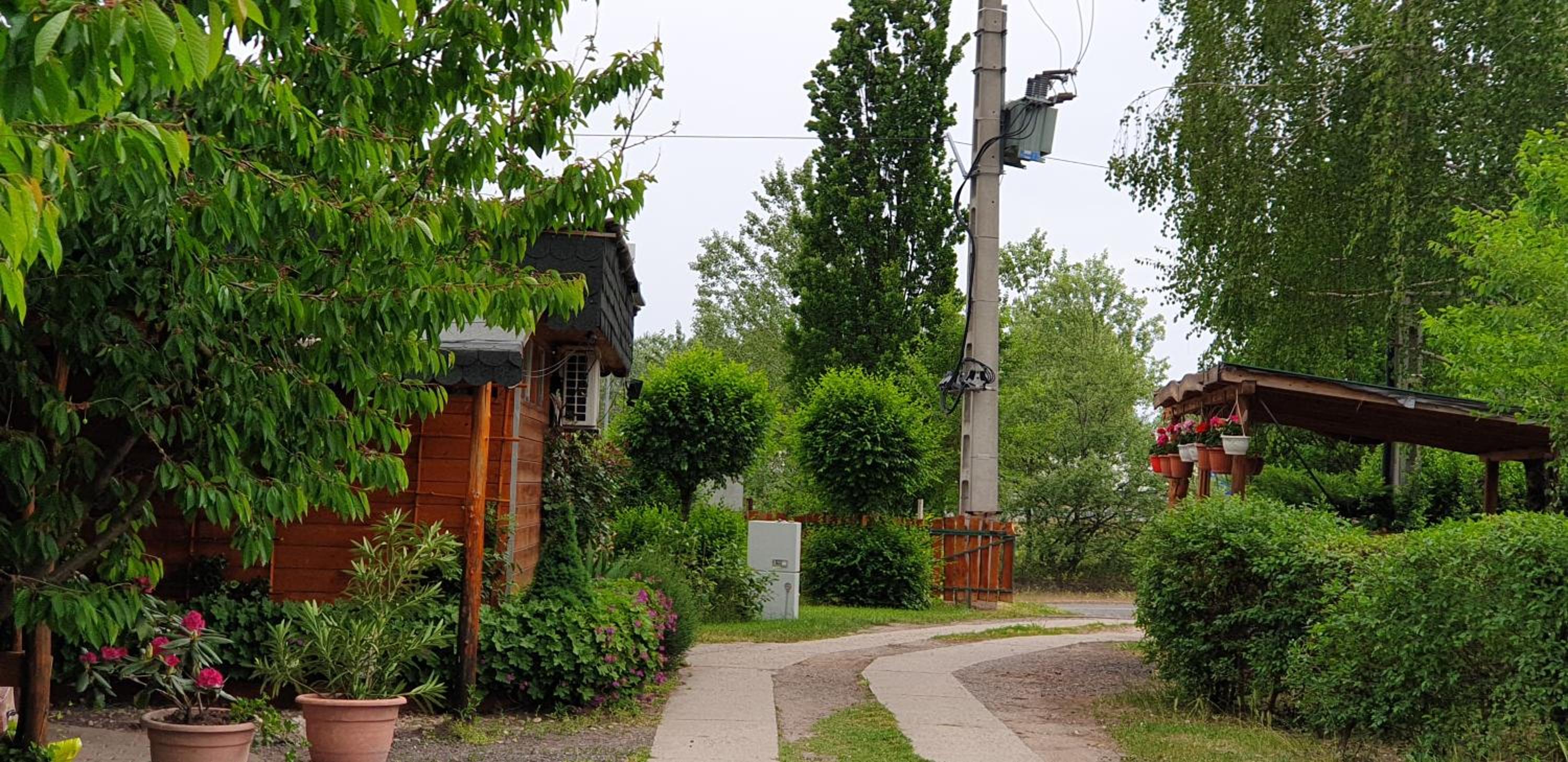 Photo 16