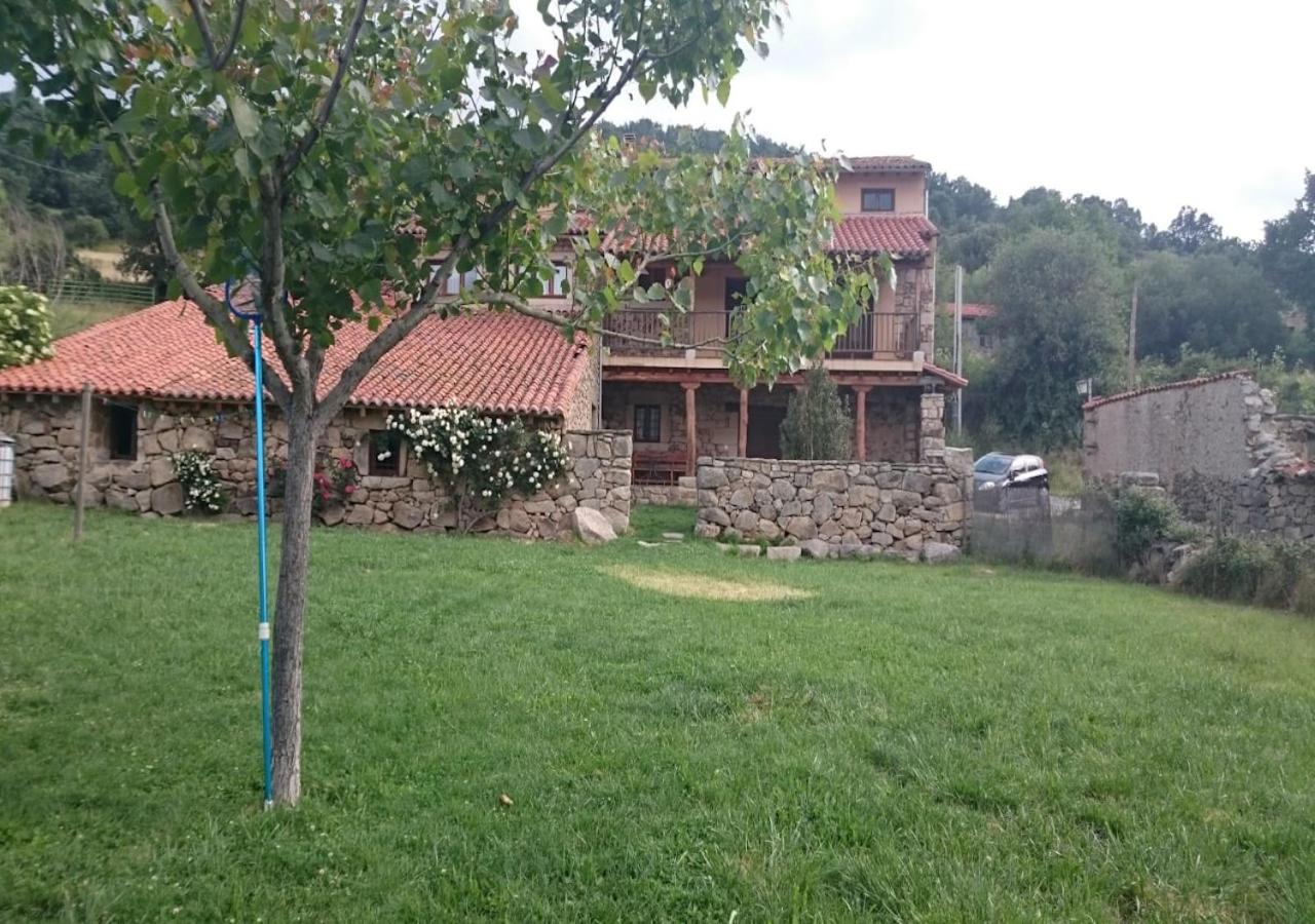 Photo 19