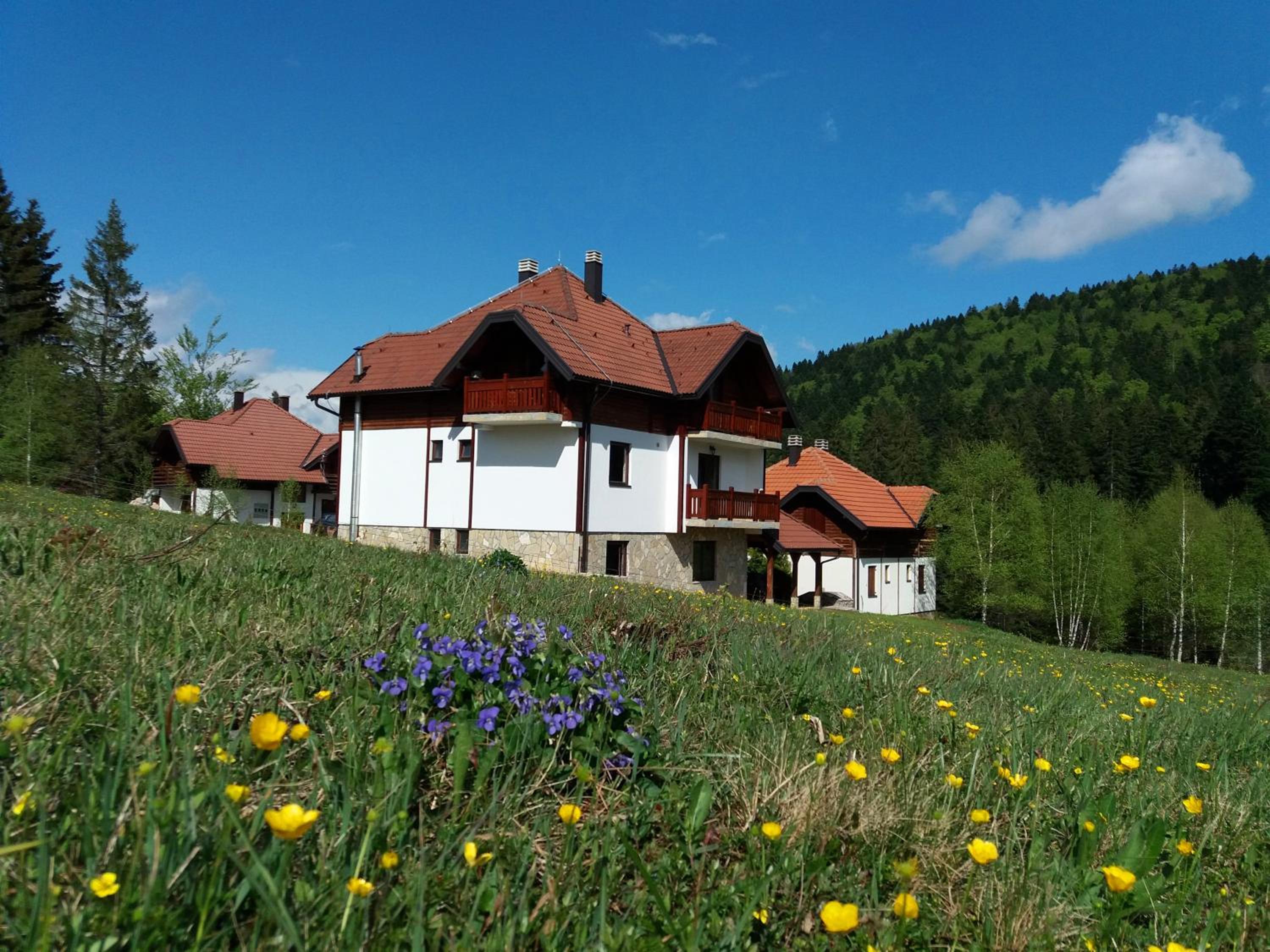 Apartmani Suncani breg Tara view 3