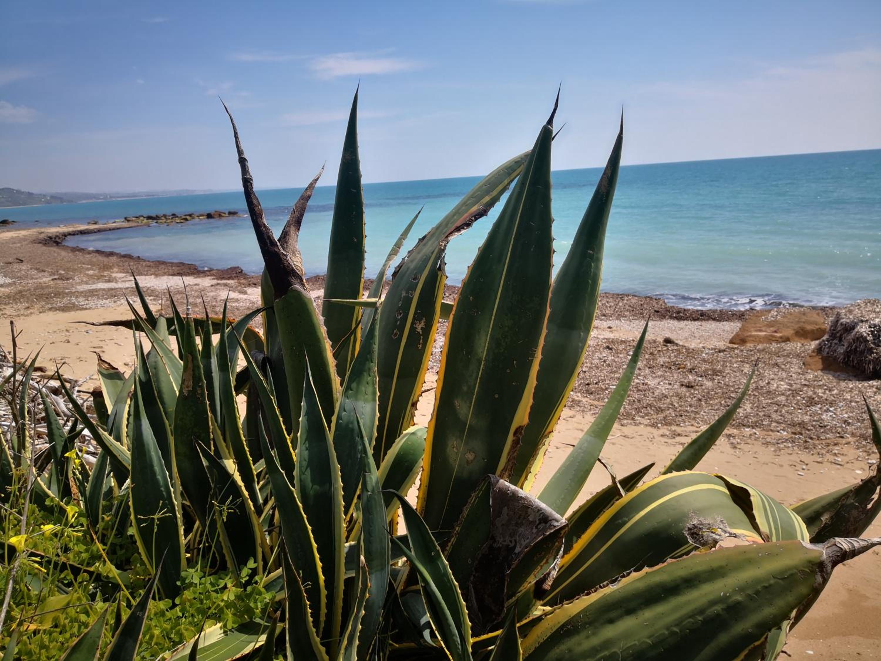 Holiday Beach Lumia