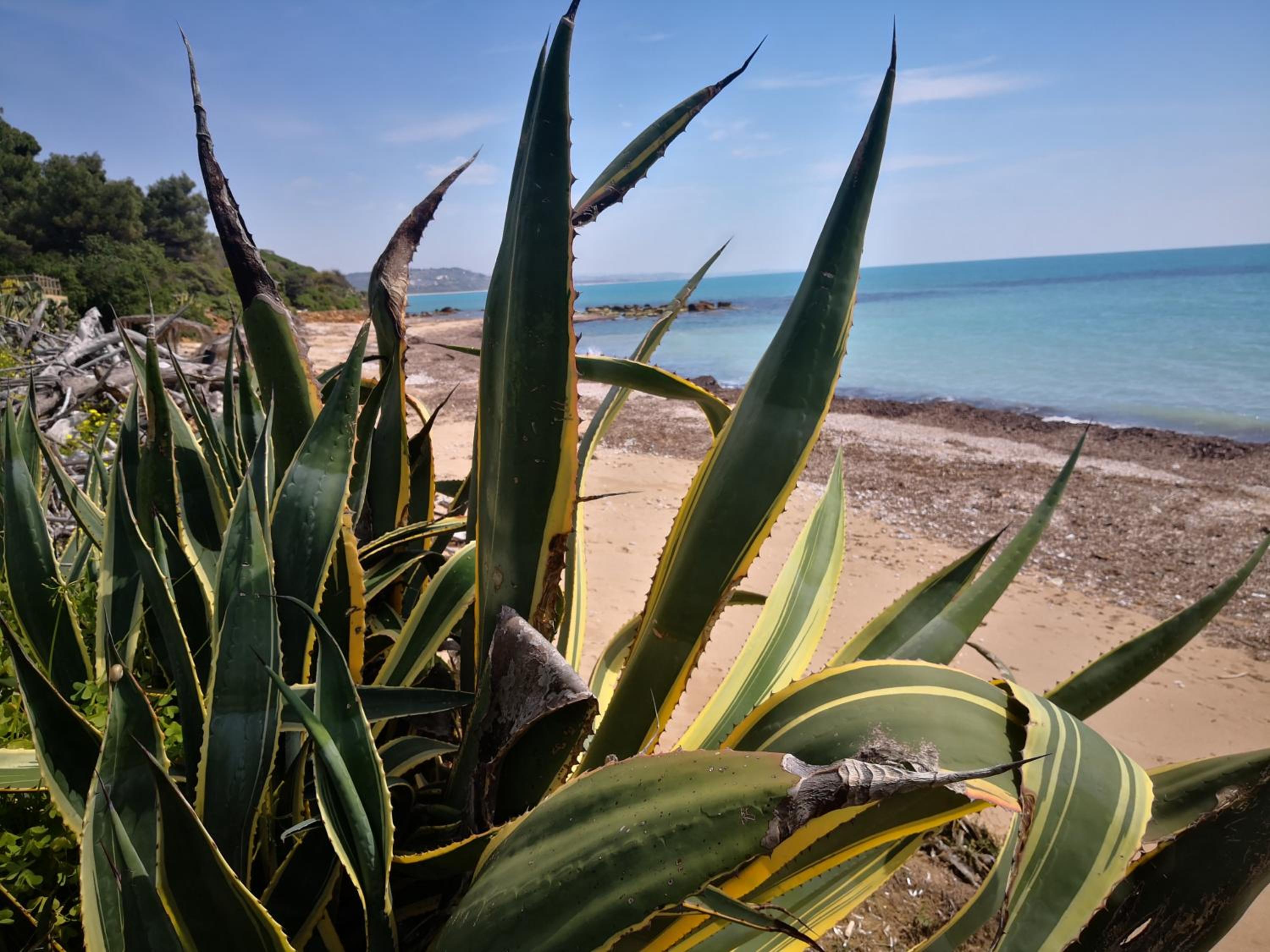 Holiday Beach Lumia