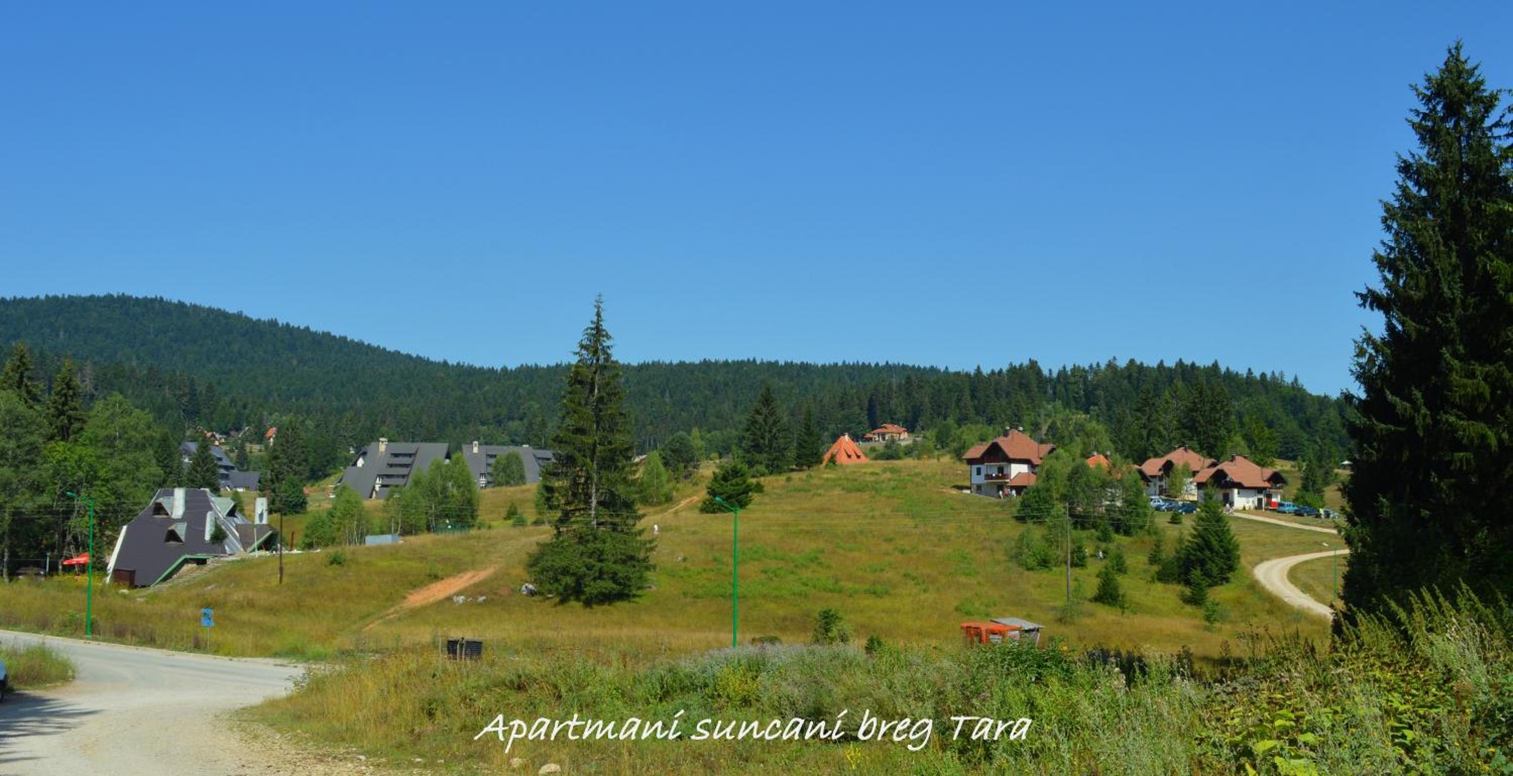 Apartmani Suncani breg Tara view 2
