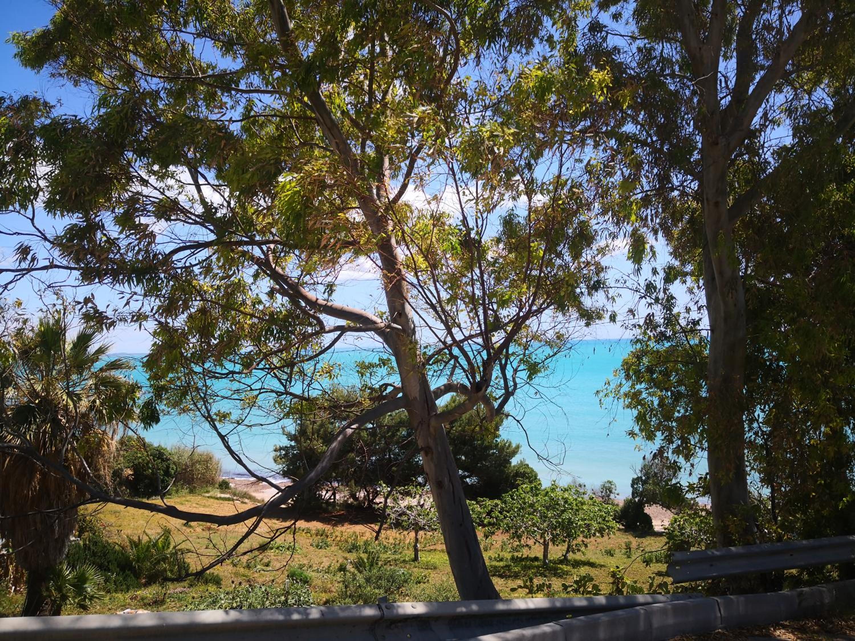 Holiday Beach Lumia