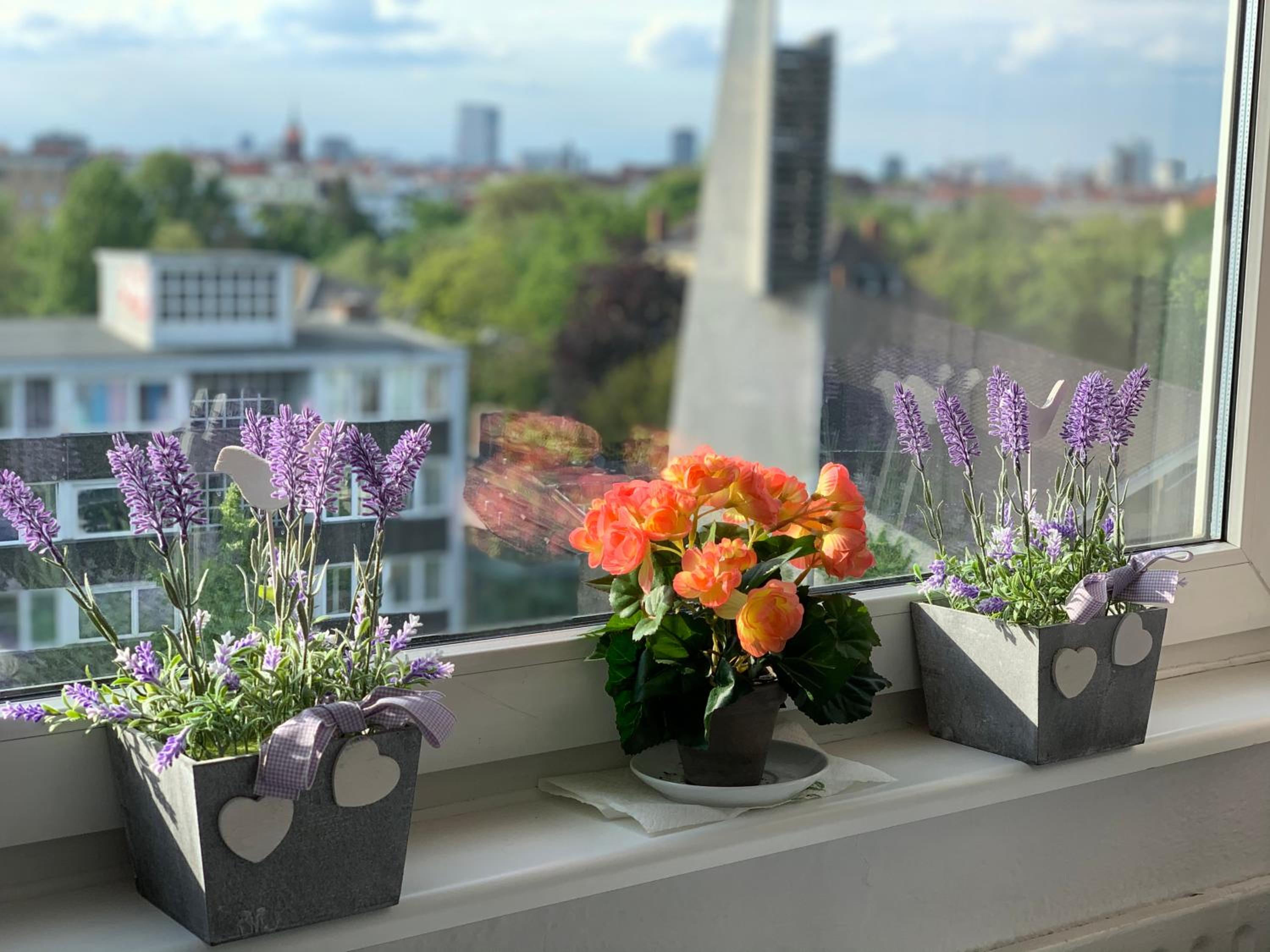 Trendy Apartments