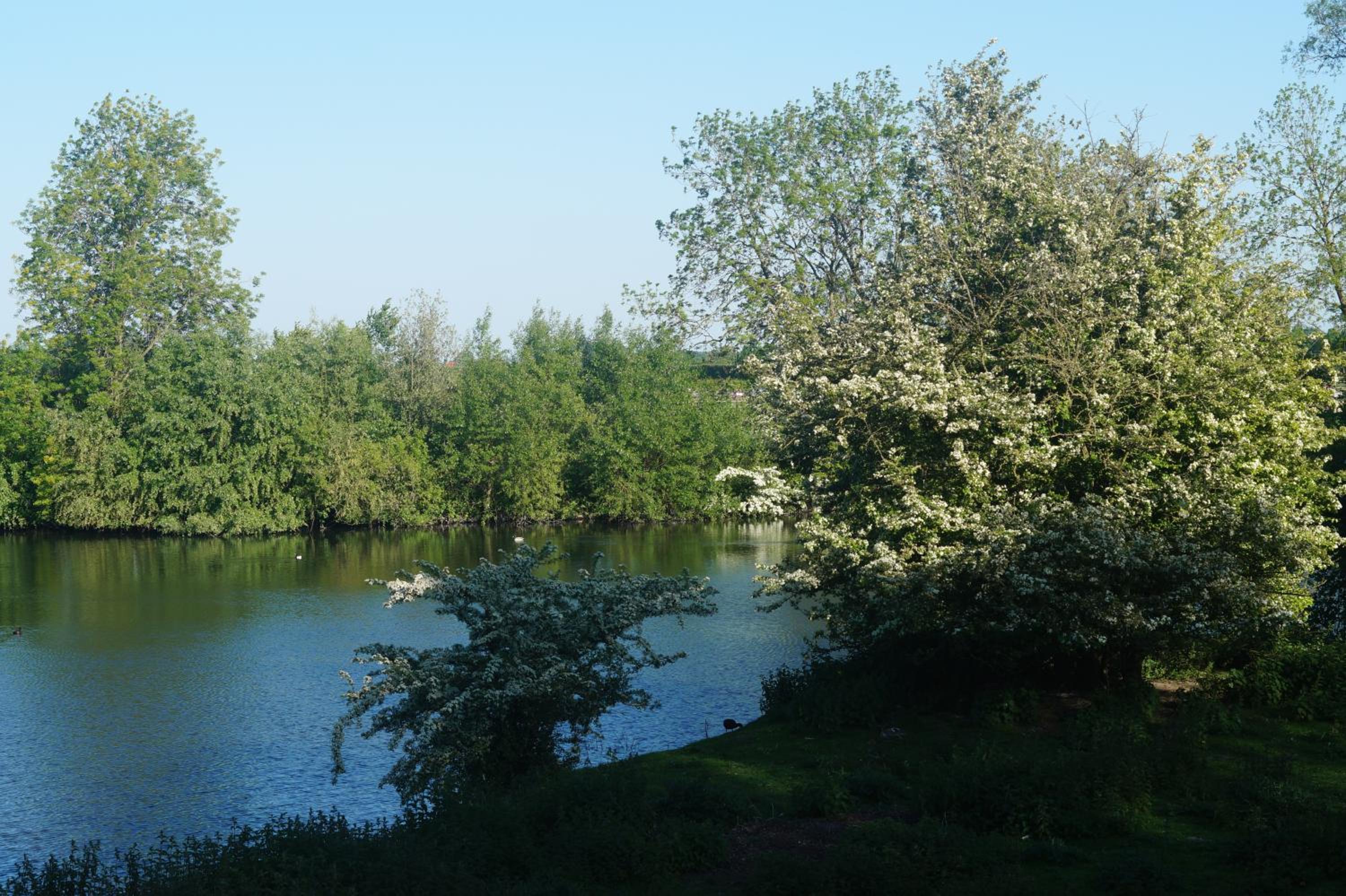 Photo 22