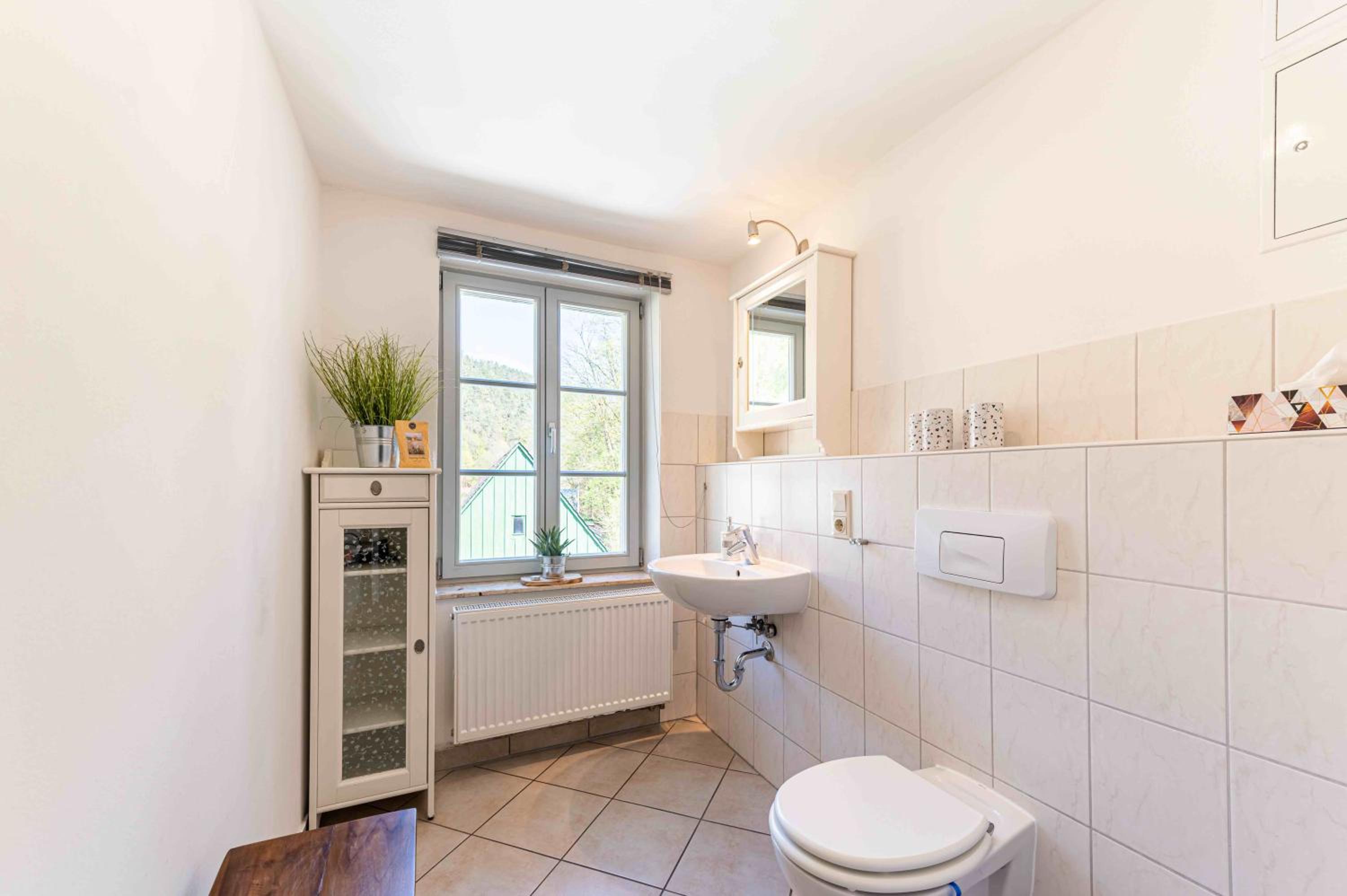 Villa Monsei - das Herzstück in Bad Schandau, top Lage, modern, mit Parkplatz!