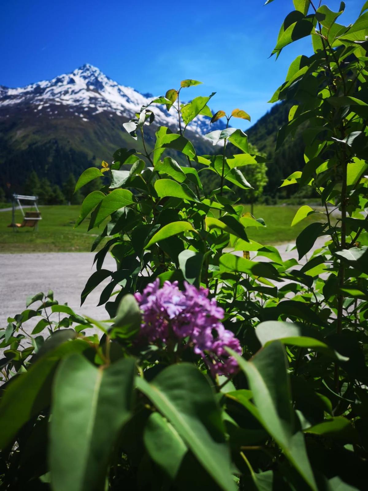 Piz-Hotel