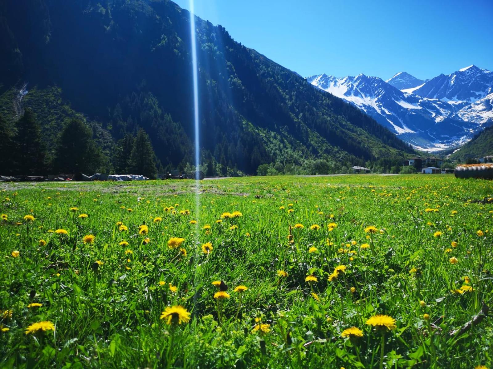 Piz-Hotel