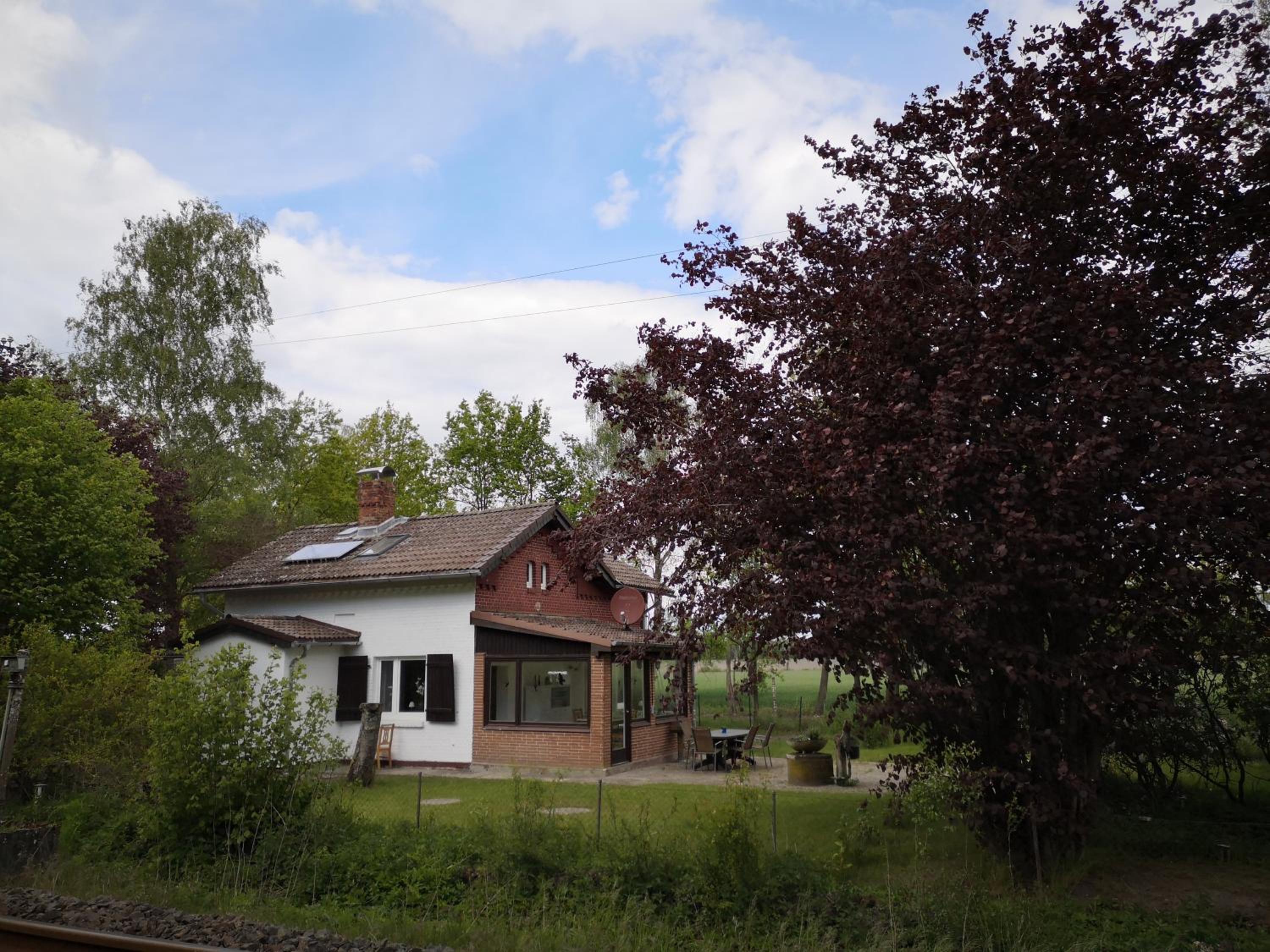 Photo 8
