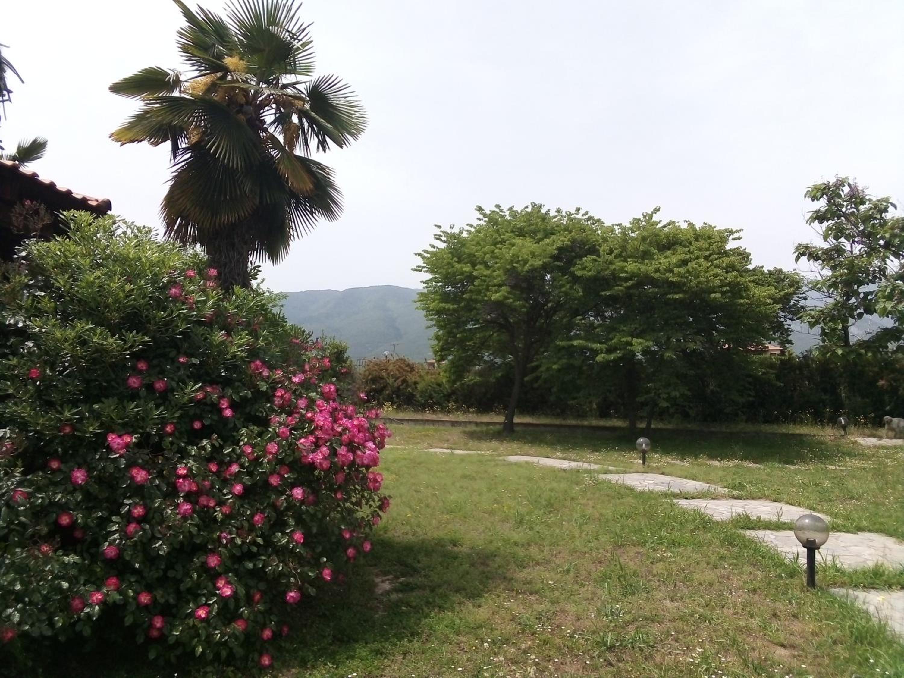 Photo 16