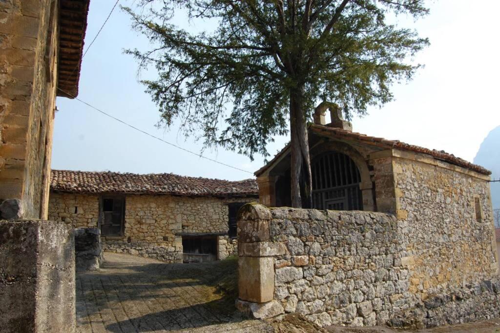 Photo 24