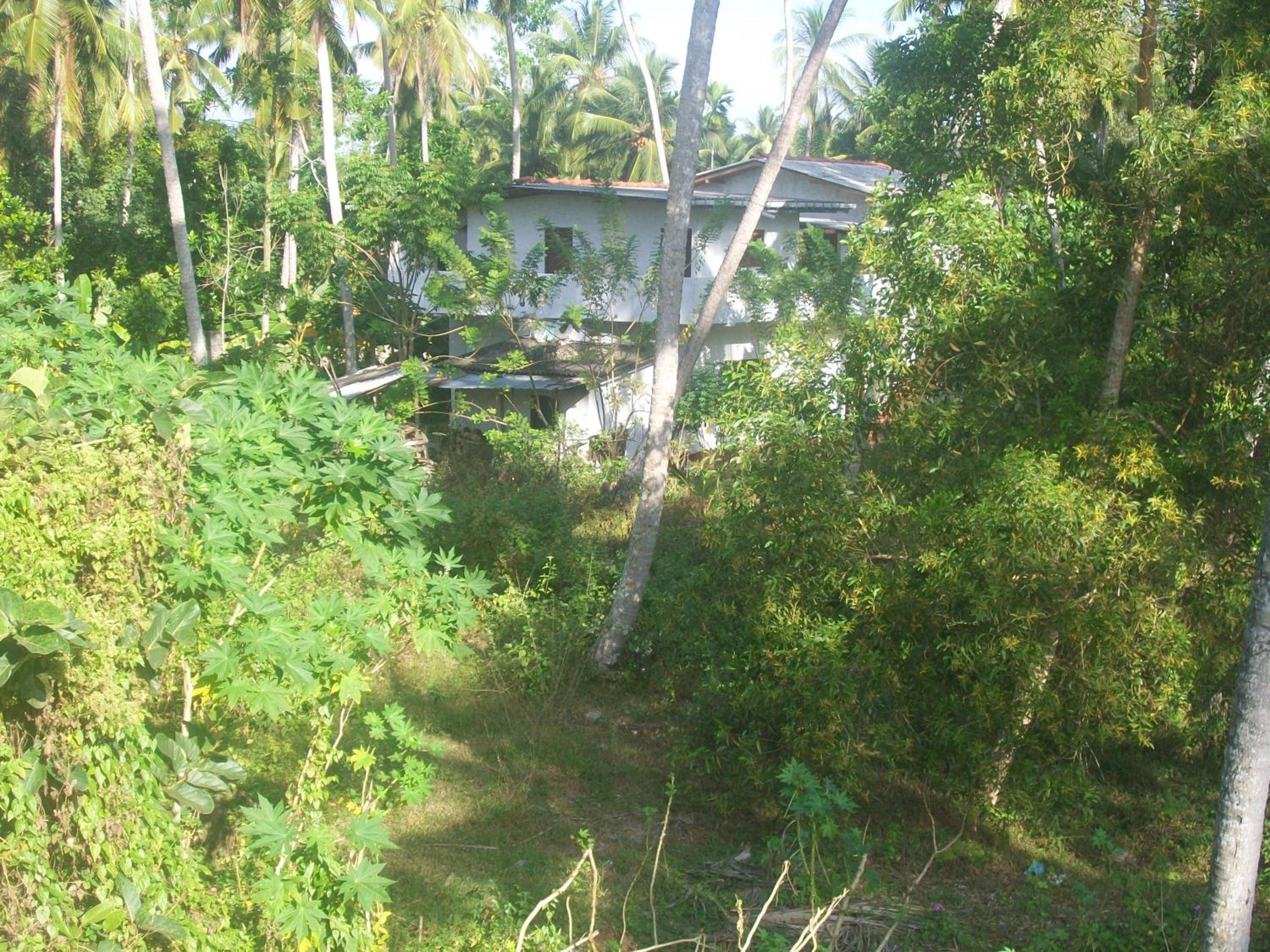 Peace Home