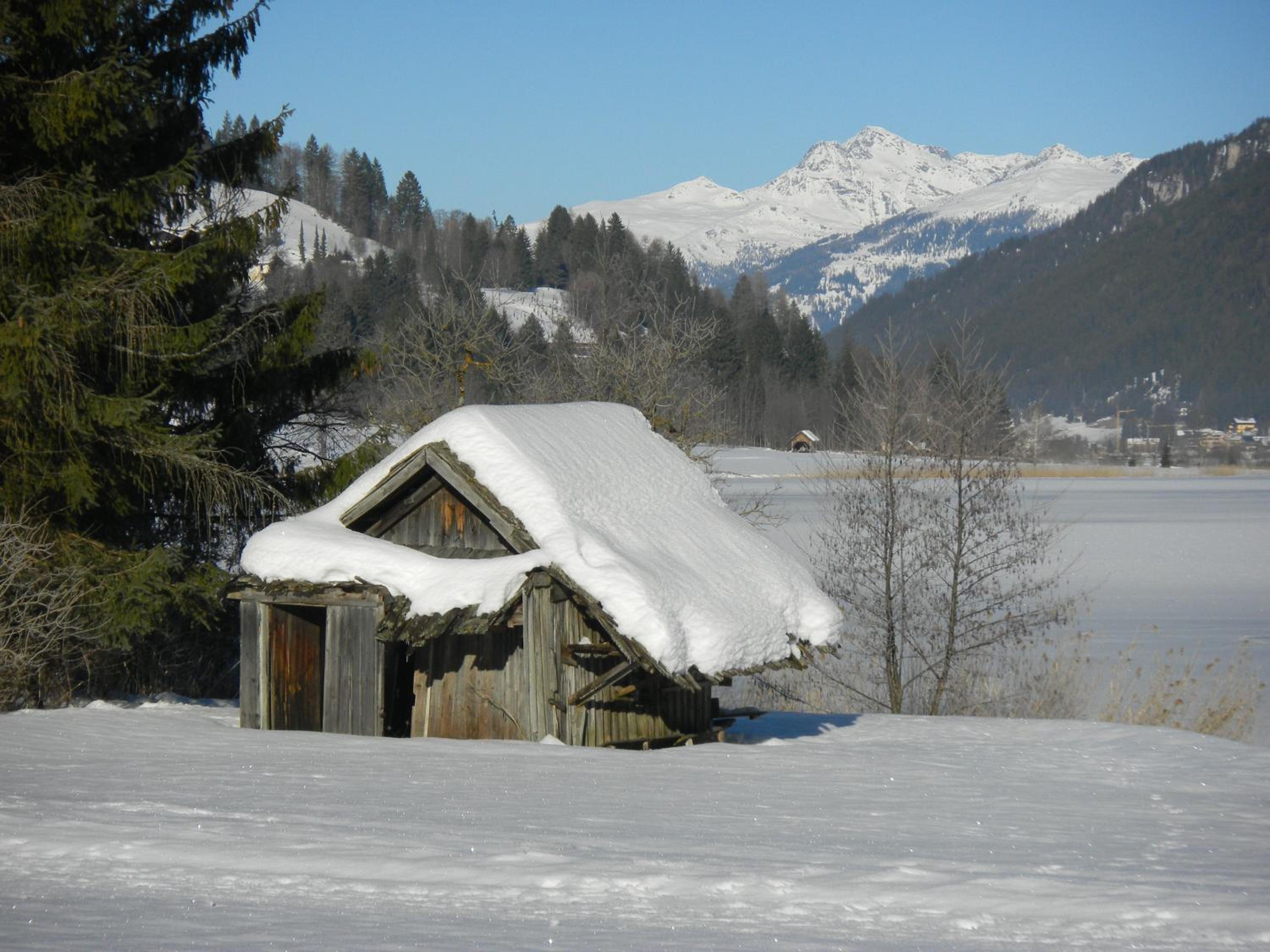 Photo 19