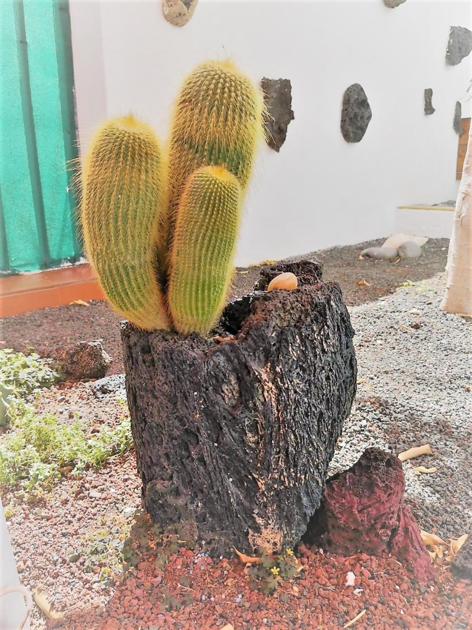 Photo 35