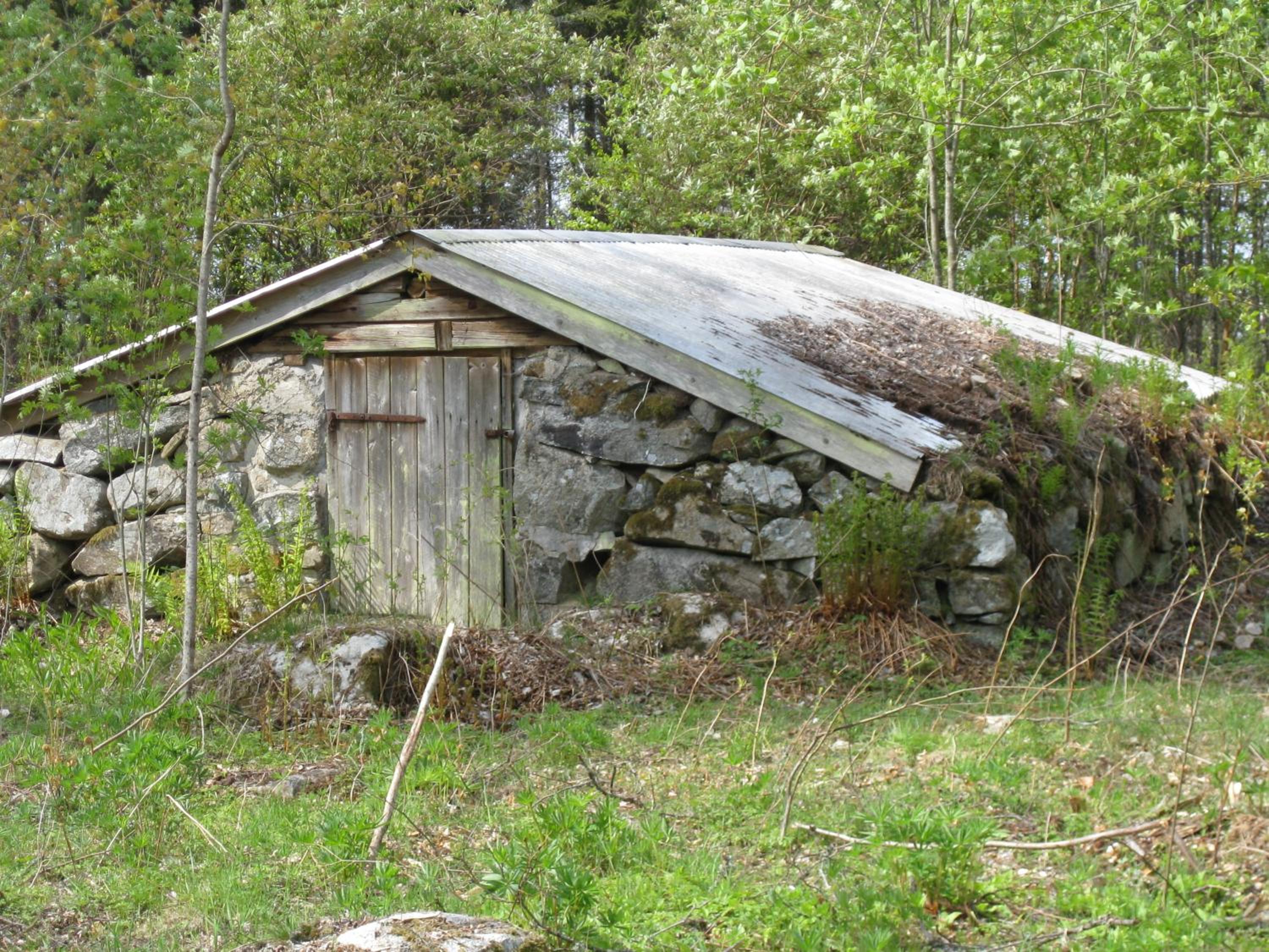 Photo 15