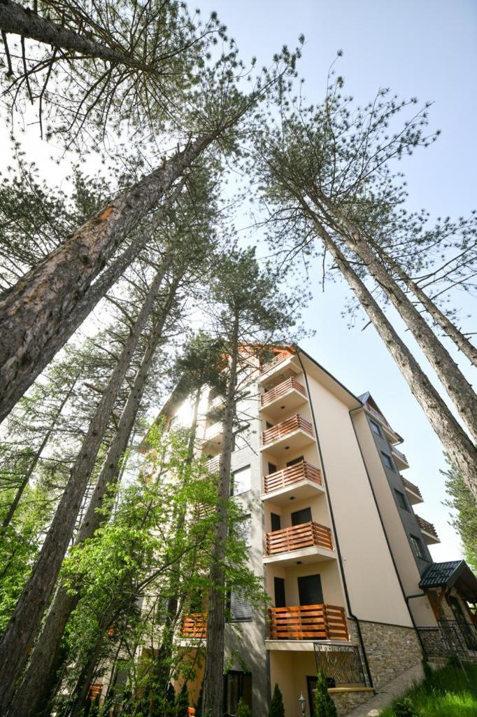 Apartman Silver Lux view 5