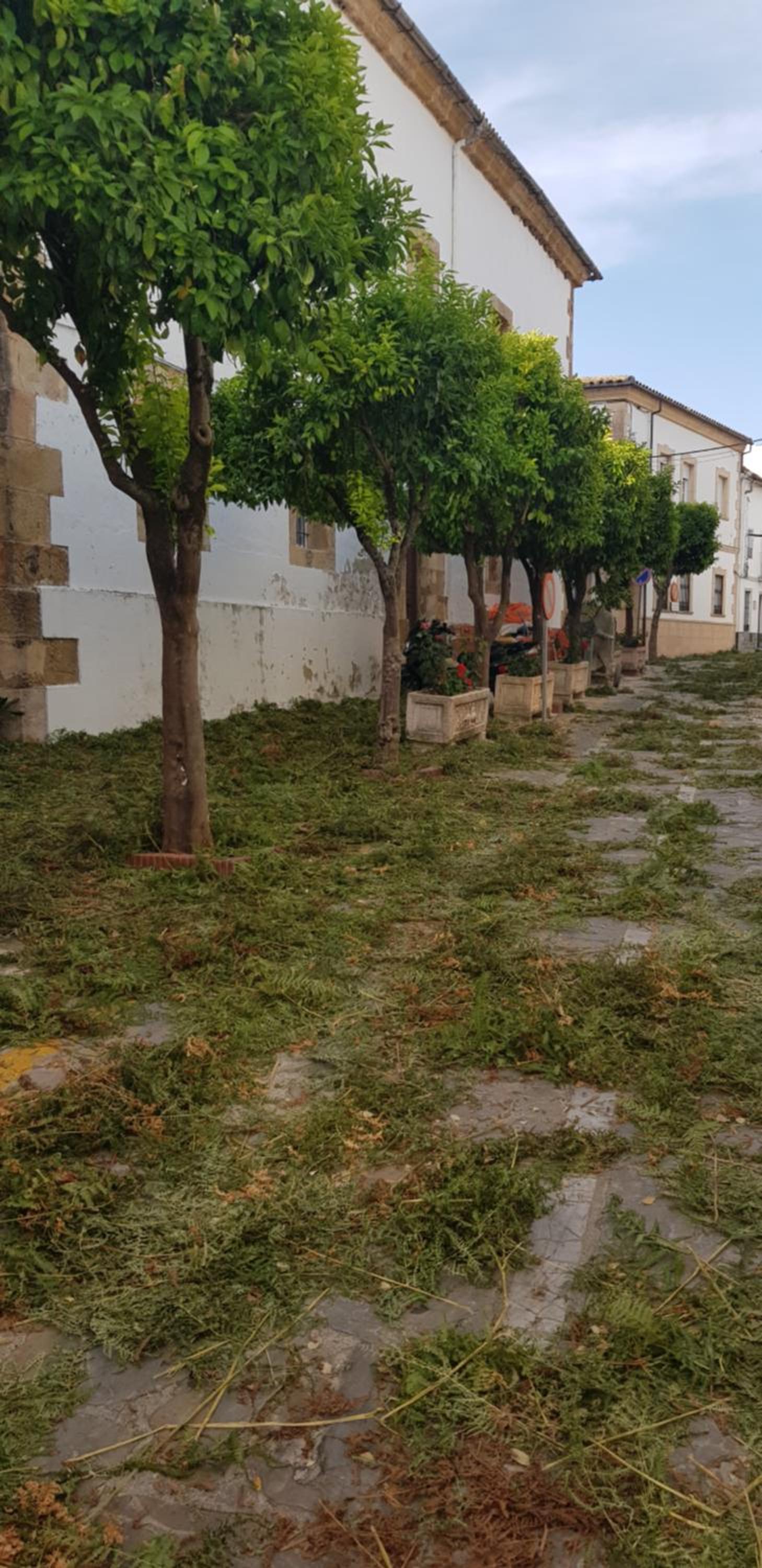 Casita de Rosario view 3