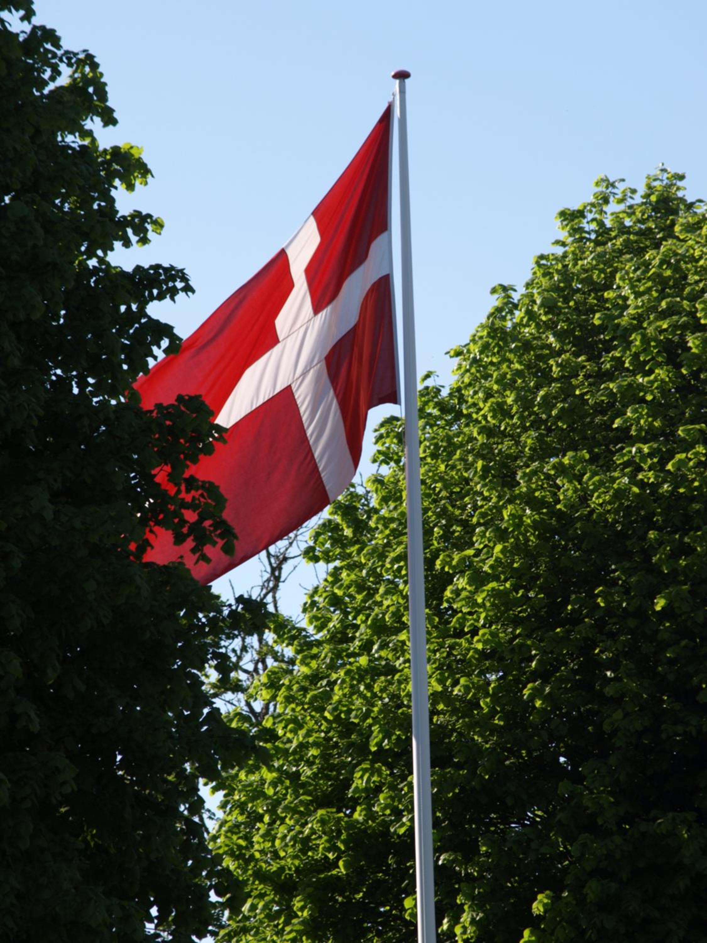 Skibstedgaard