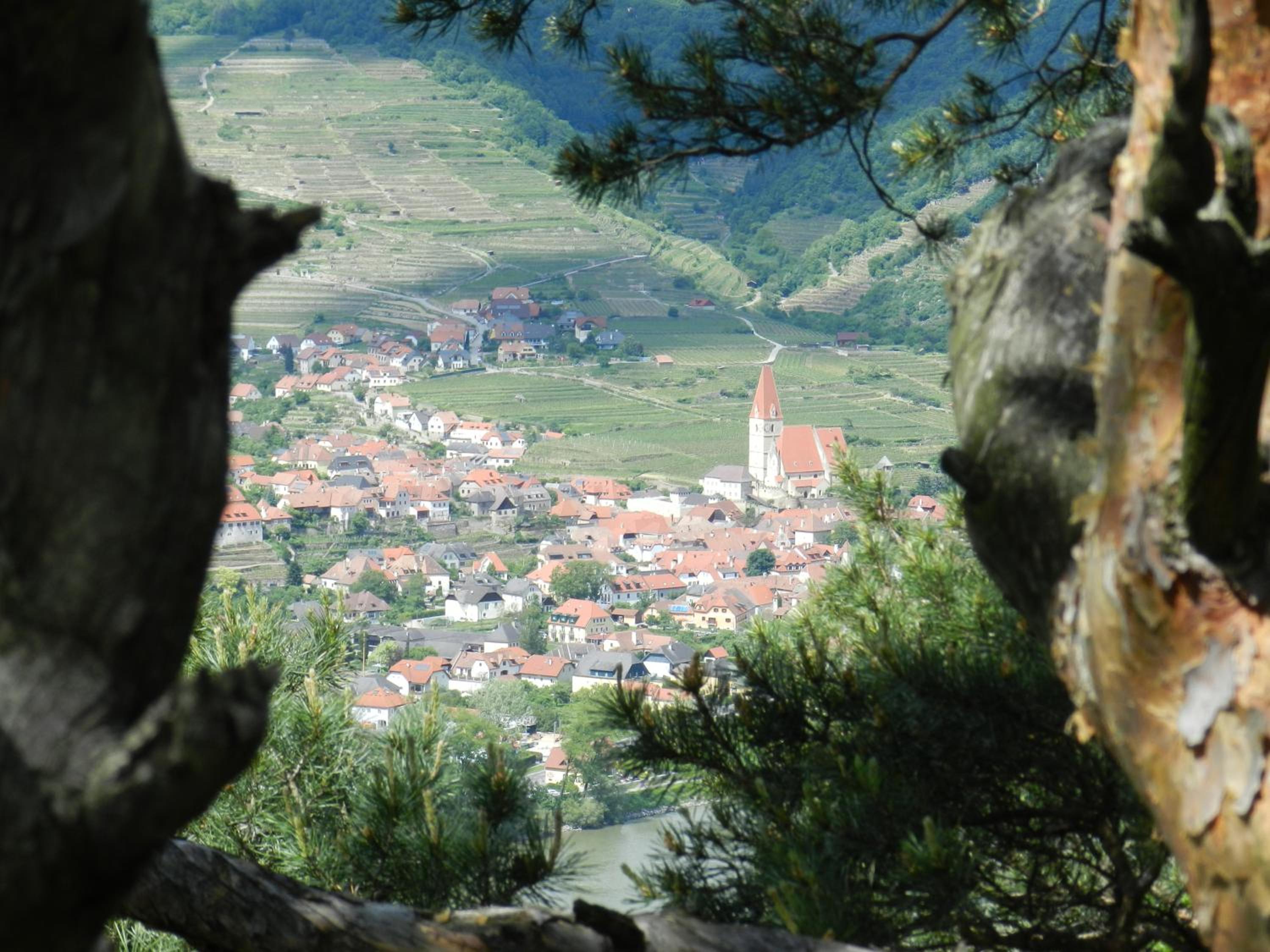 Photo 16