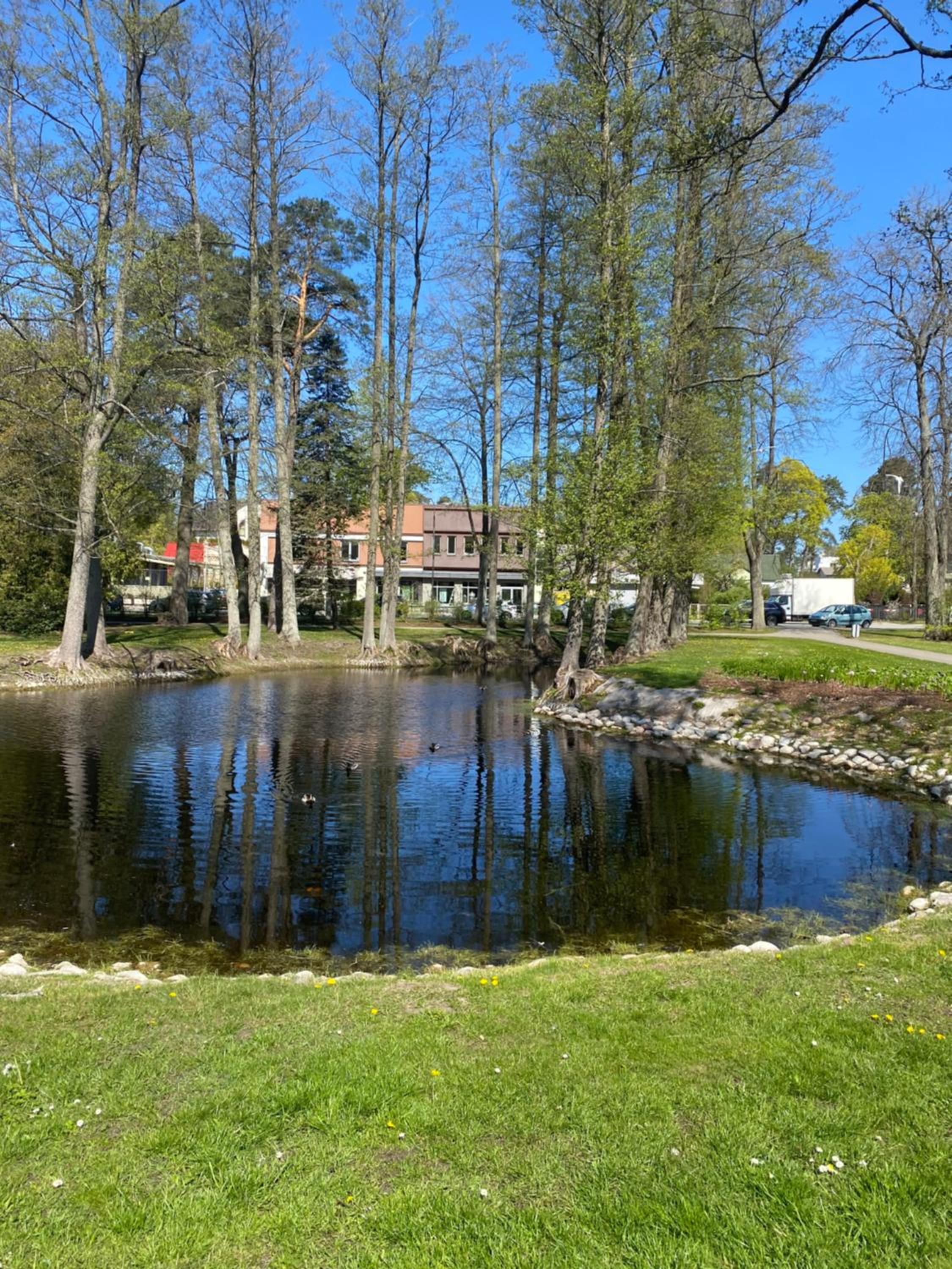 Photo 16