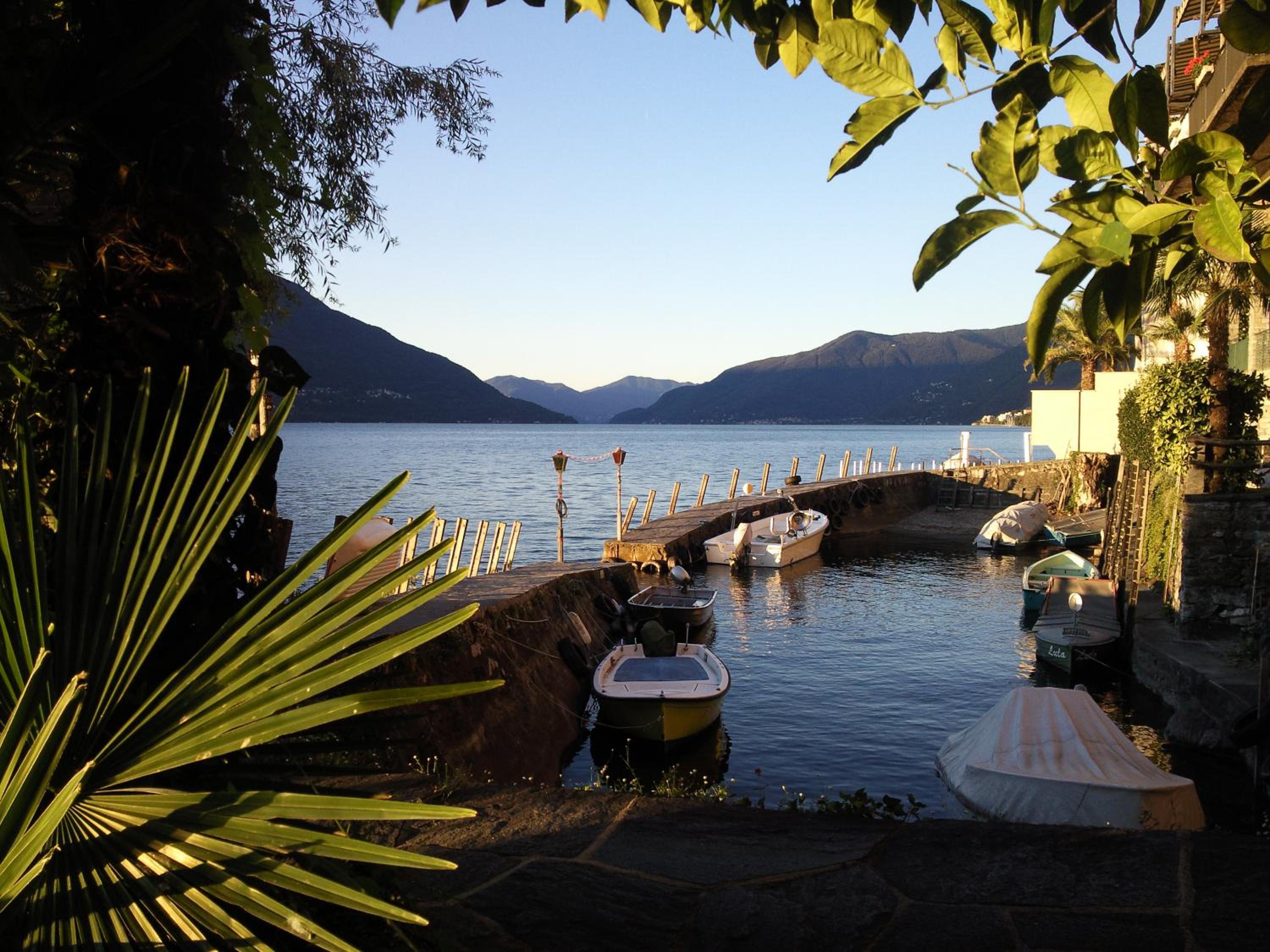 Photo 89