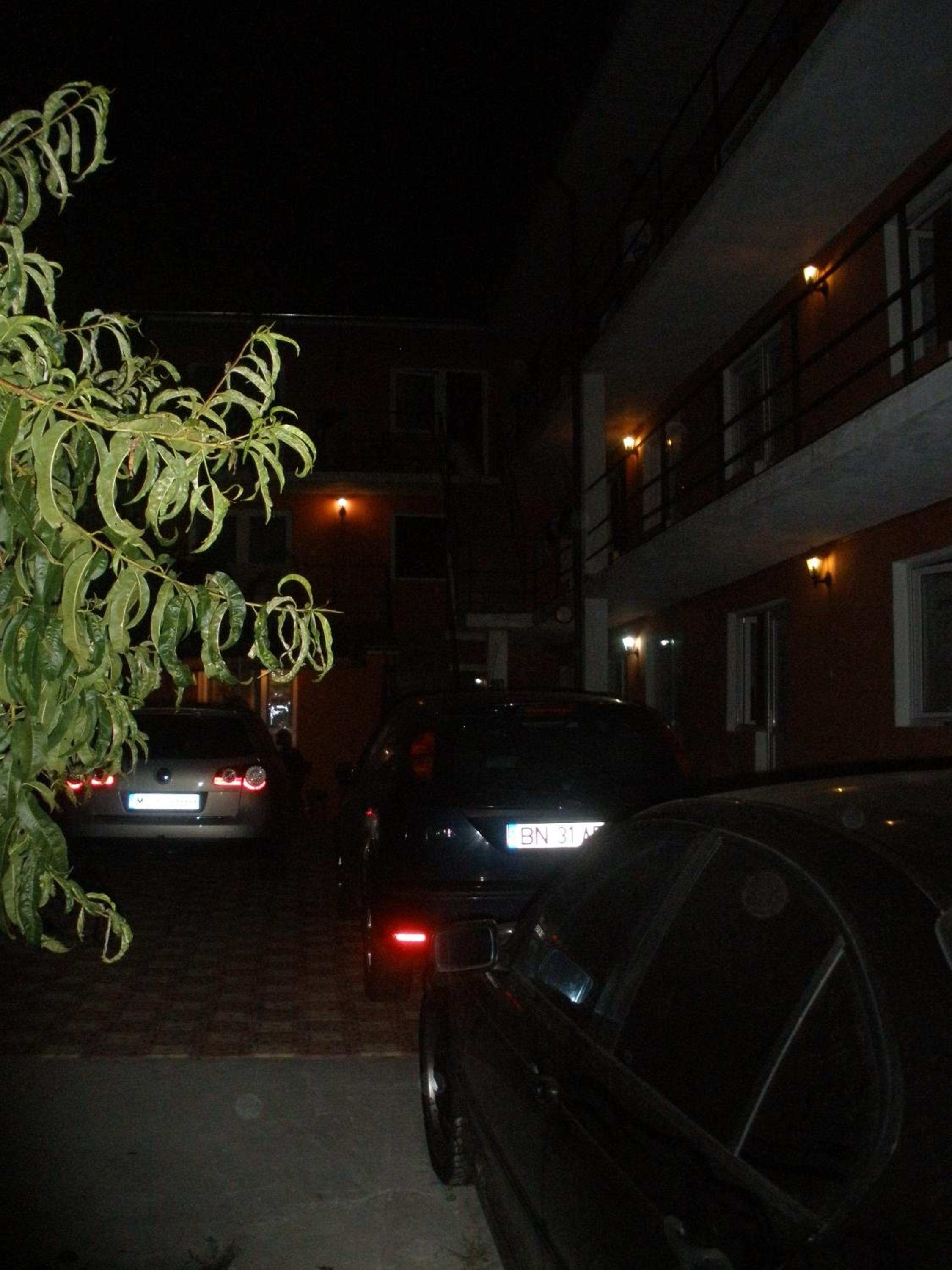 Photo 41