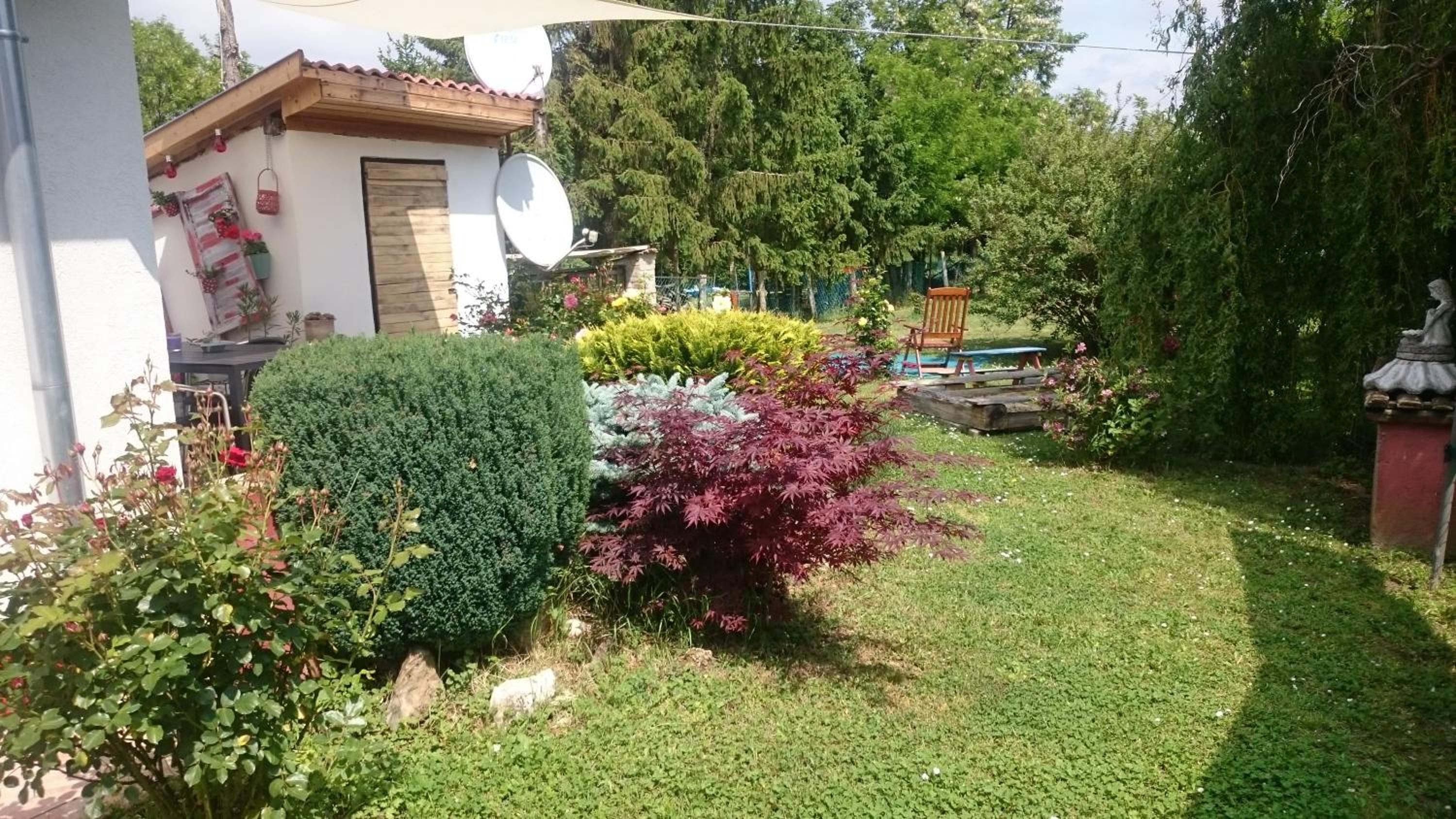 Vendég kuckó view 5