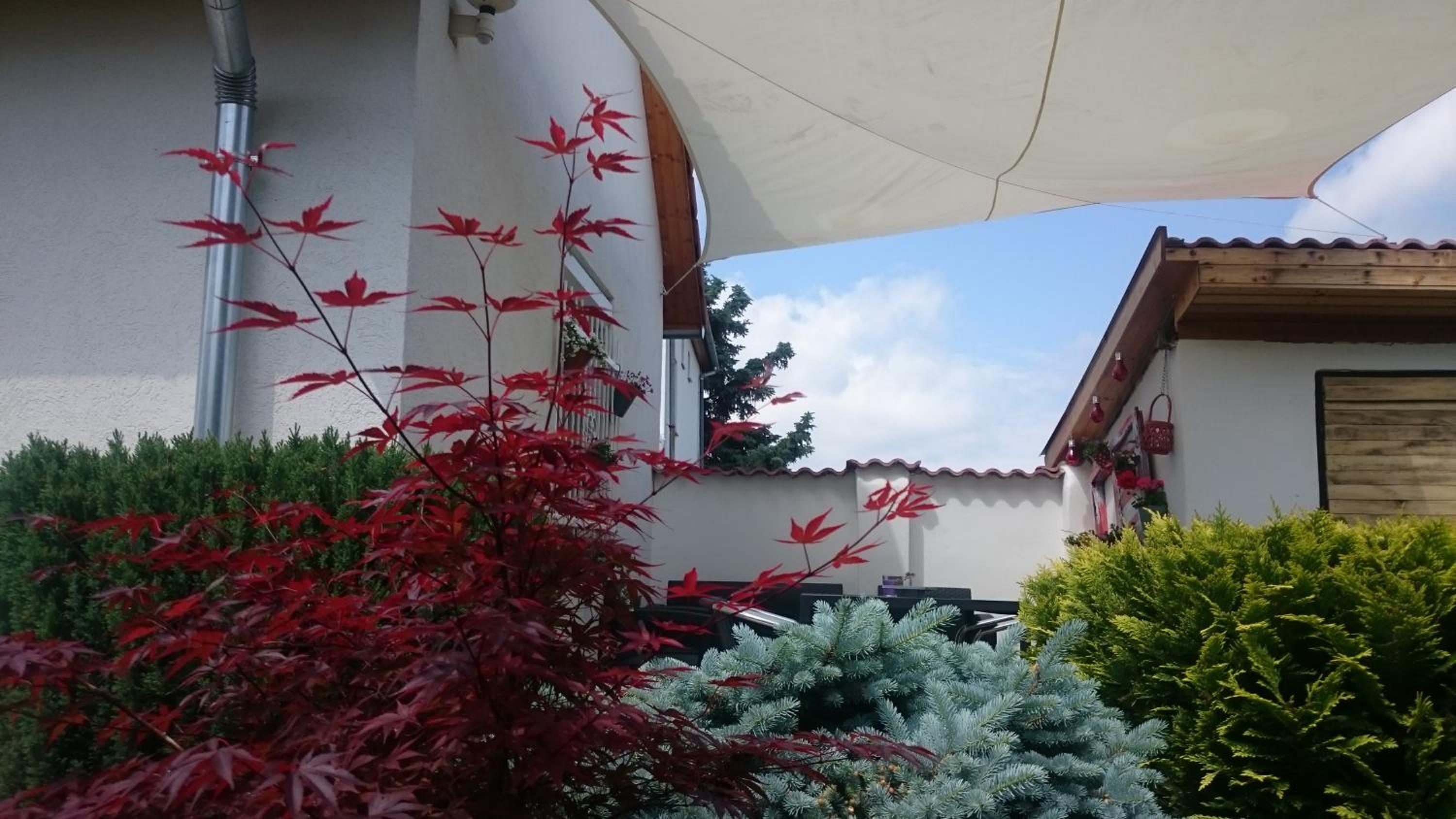 Vendég kuckó view 2