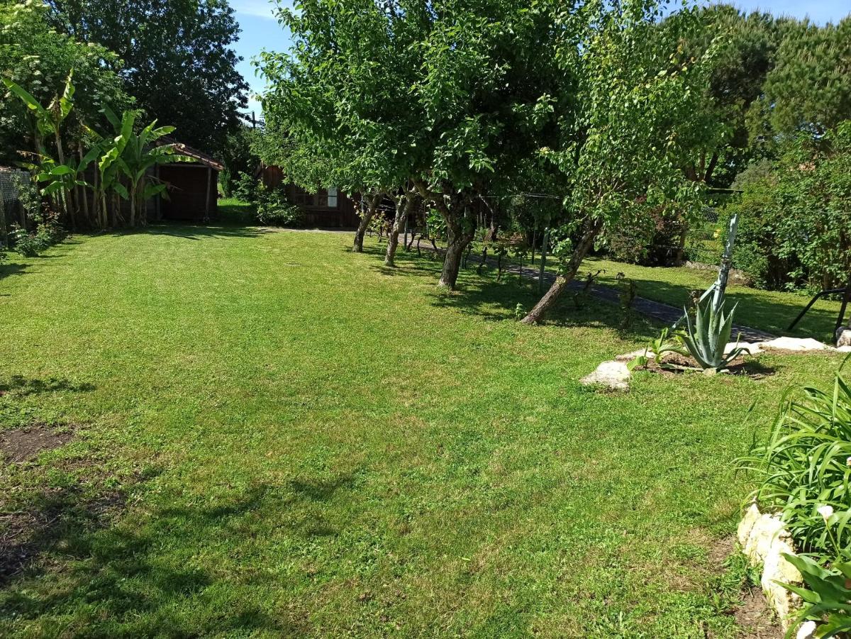 Photo 27