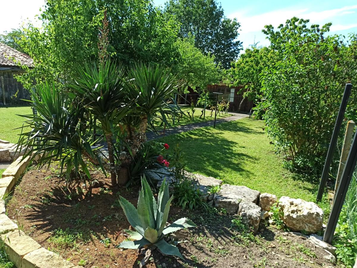 Photo 26