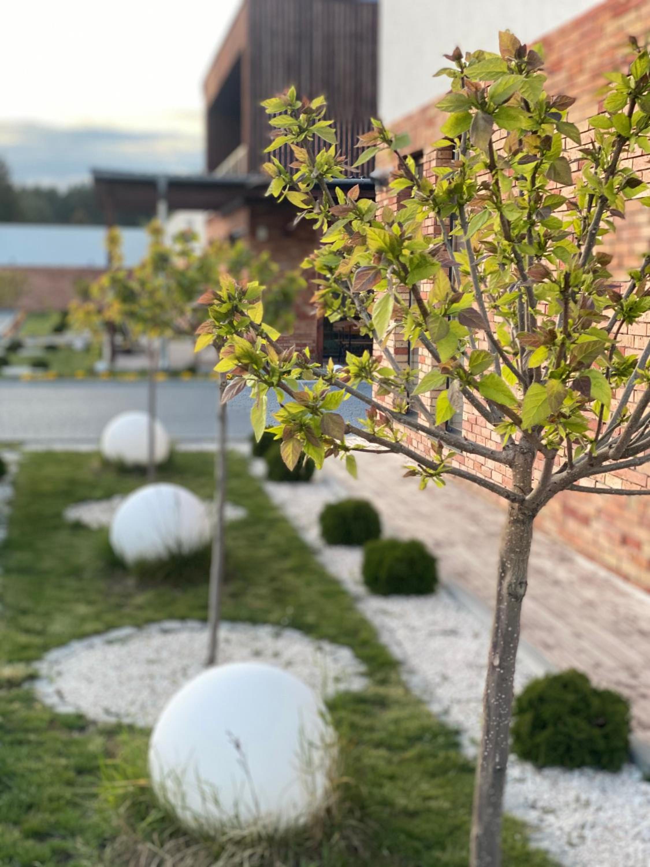 garden