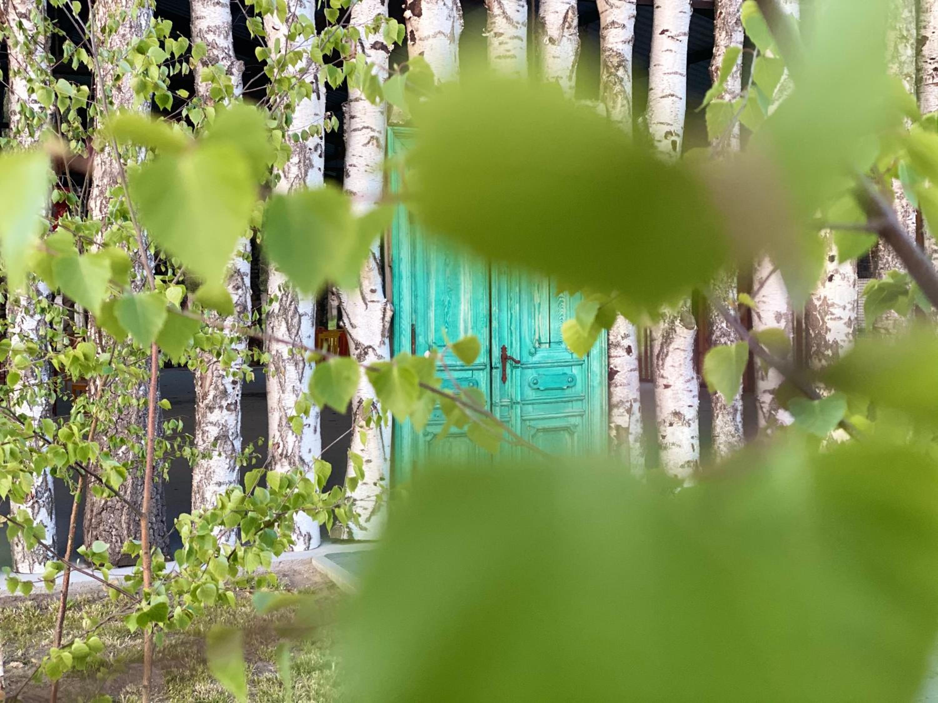 garden