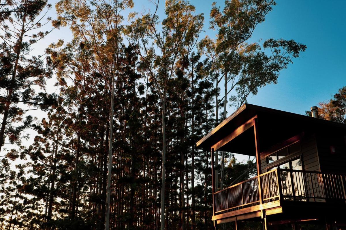 Rainforest Gardens - Luxury Hillside Accomodation with Views to Bay & Islands view 4