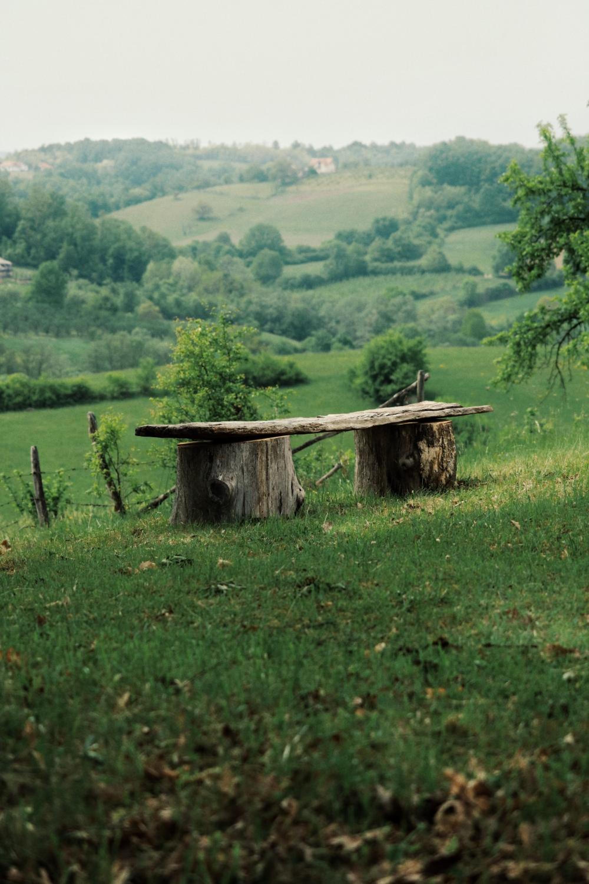 Photo 44