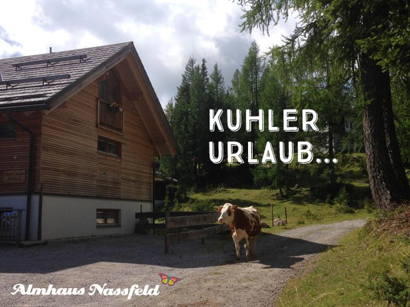 Almhaus Nassfeld