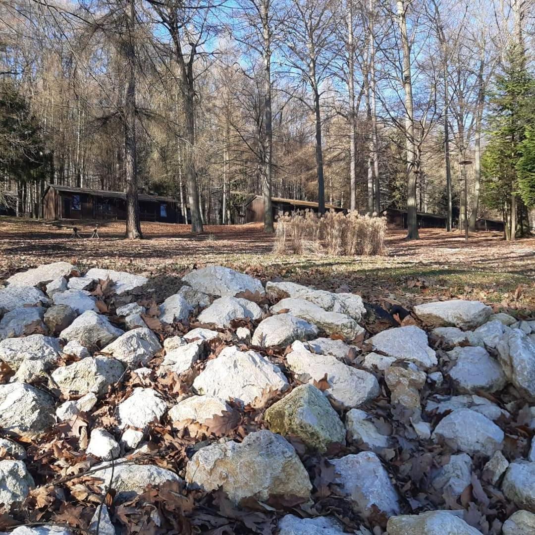 Photo 21