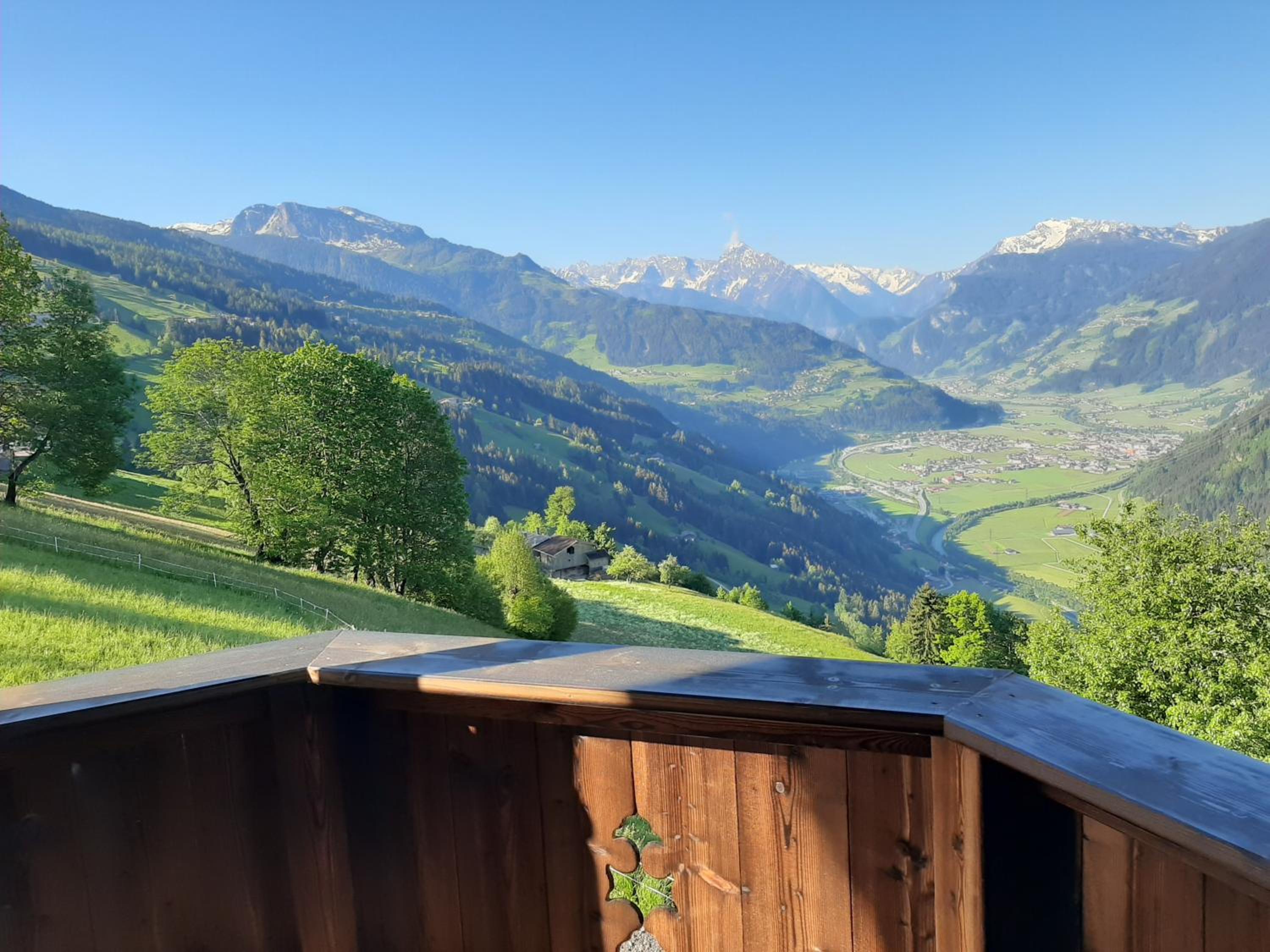 Nesterhof