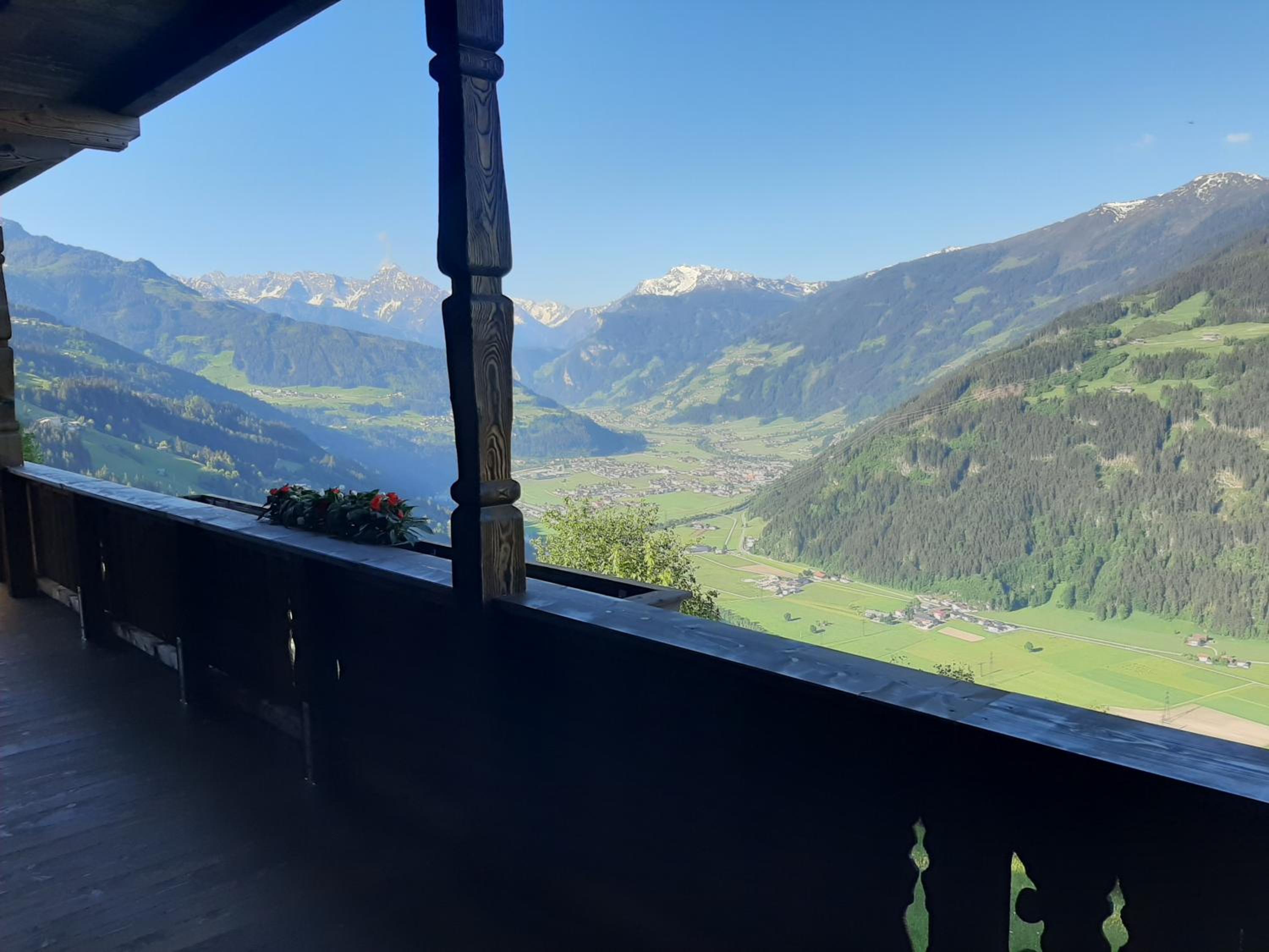 Nesterhof