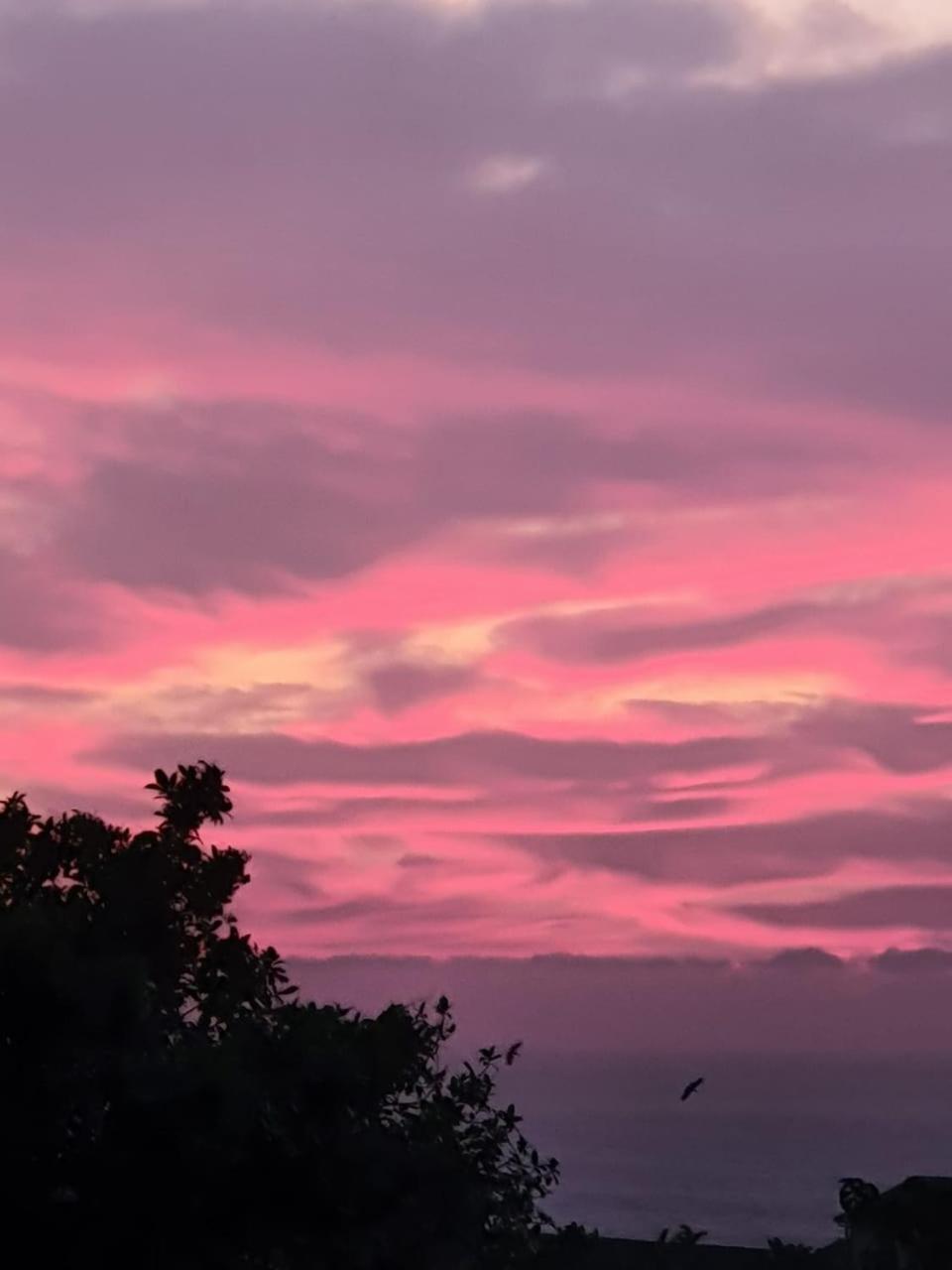 African Sky's the Limit - Budget, Quiet, Peaceful Self-Catering view 2