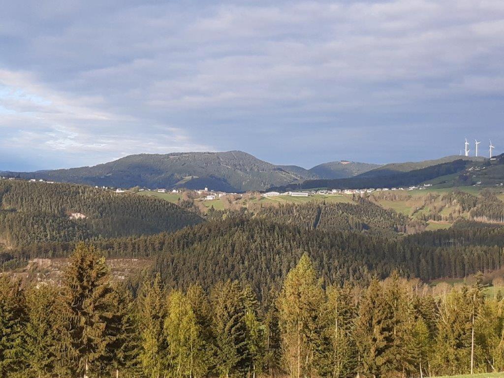 Chalet Teufelsteinblick