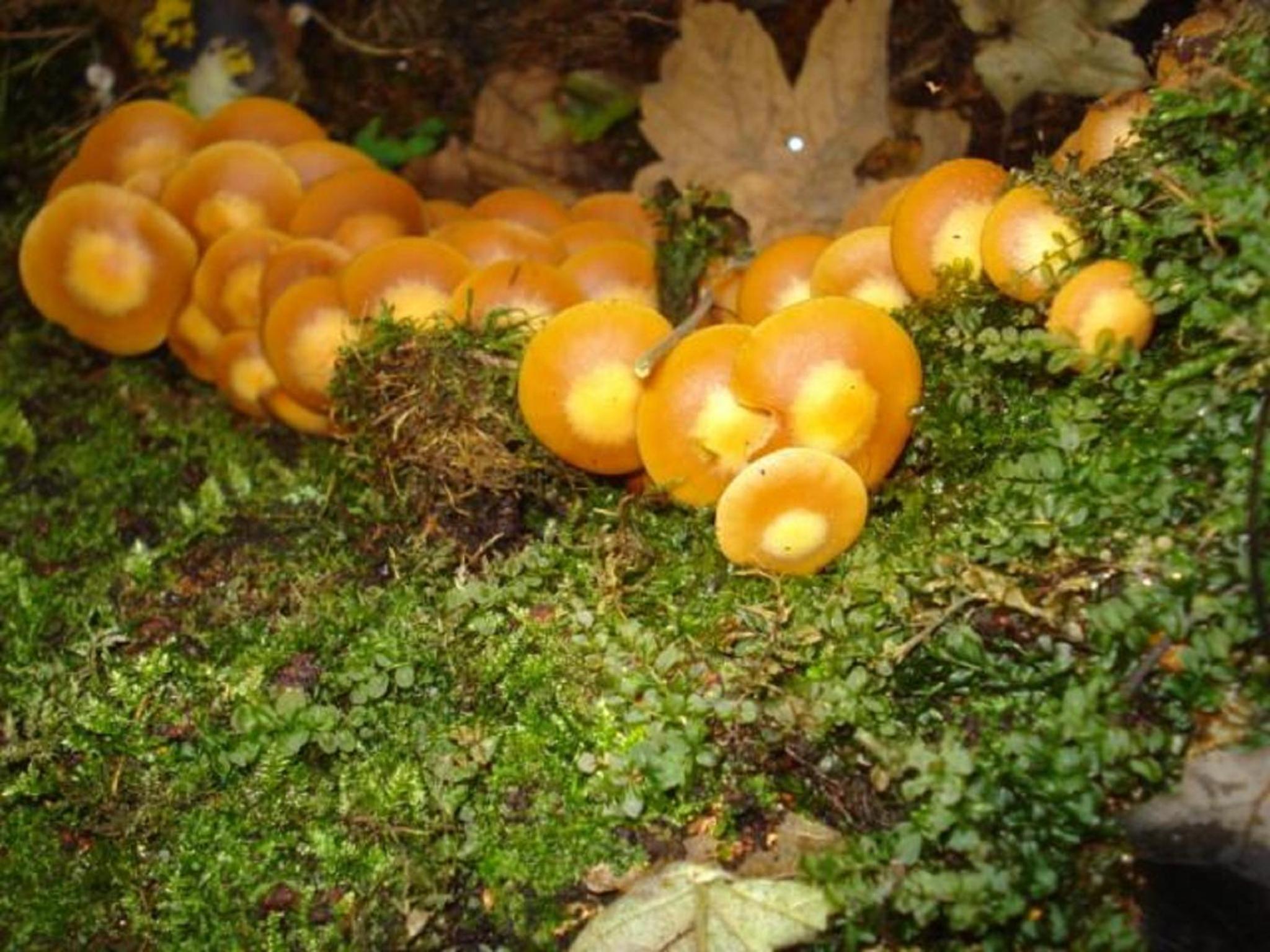 Photo 28