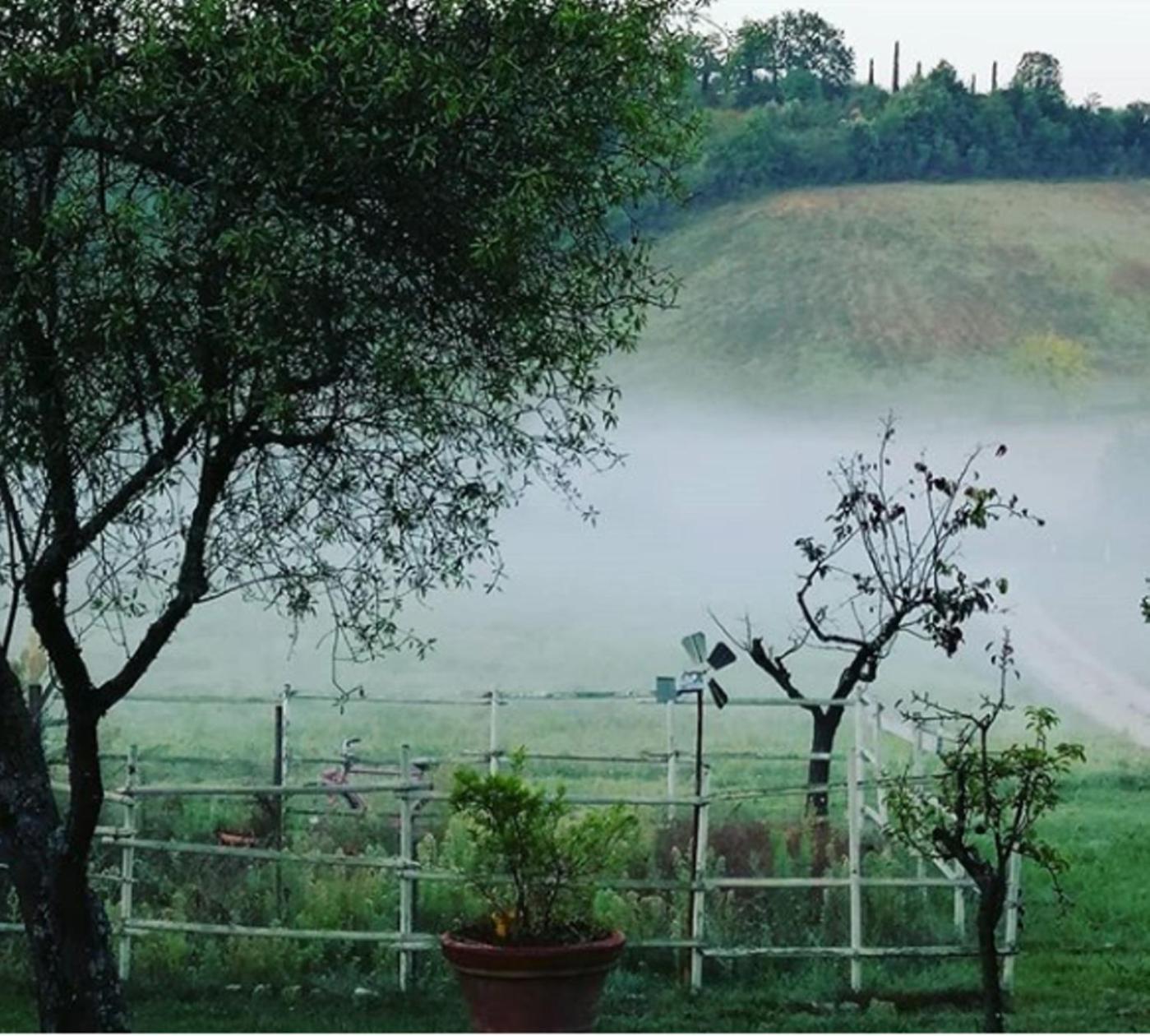 Agriturismo Podere La Paolina - Residenza di Charme