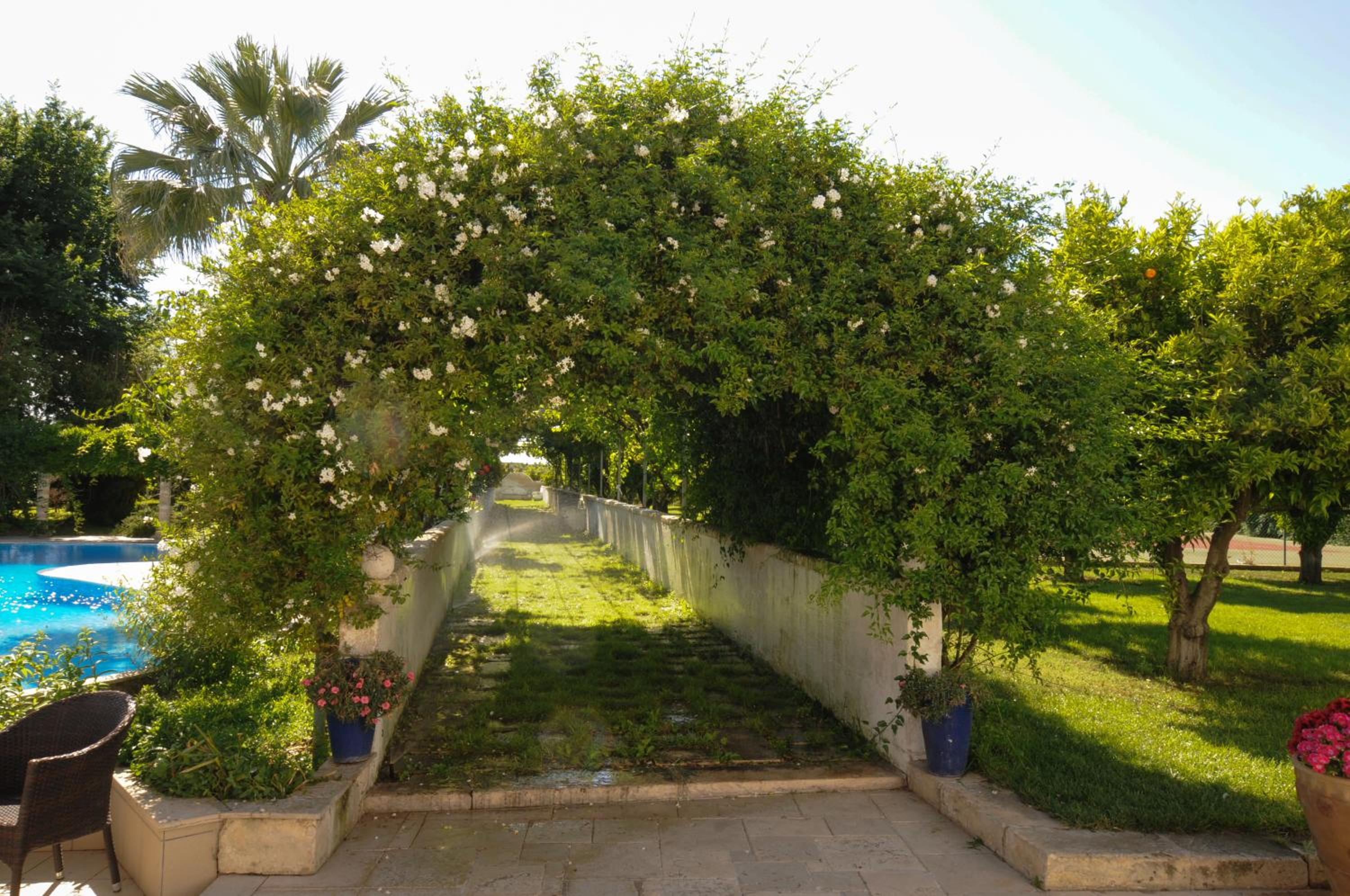 Masseria La Brunetta view 4